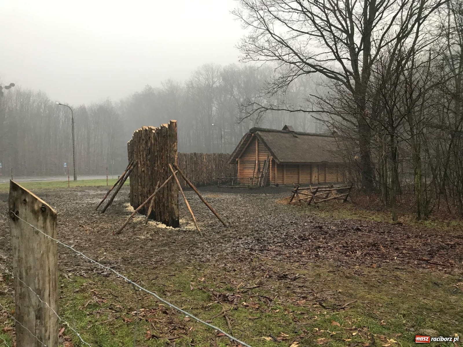 Zdjęcie w galerii na portalu naszraciborz.pl: Przy grodzie pod Oborą stanęła palisada wiadomości z regionu
