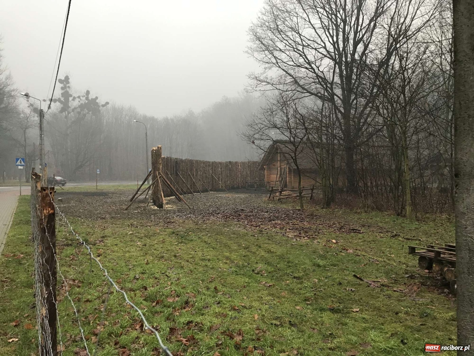 Zdjęcie w galerii na portalu naszraciborz.pl: Przy grodzie pod Oborą stanęła palisada wiadomości z regionu