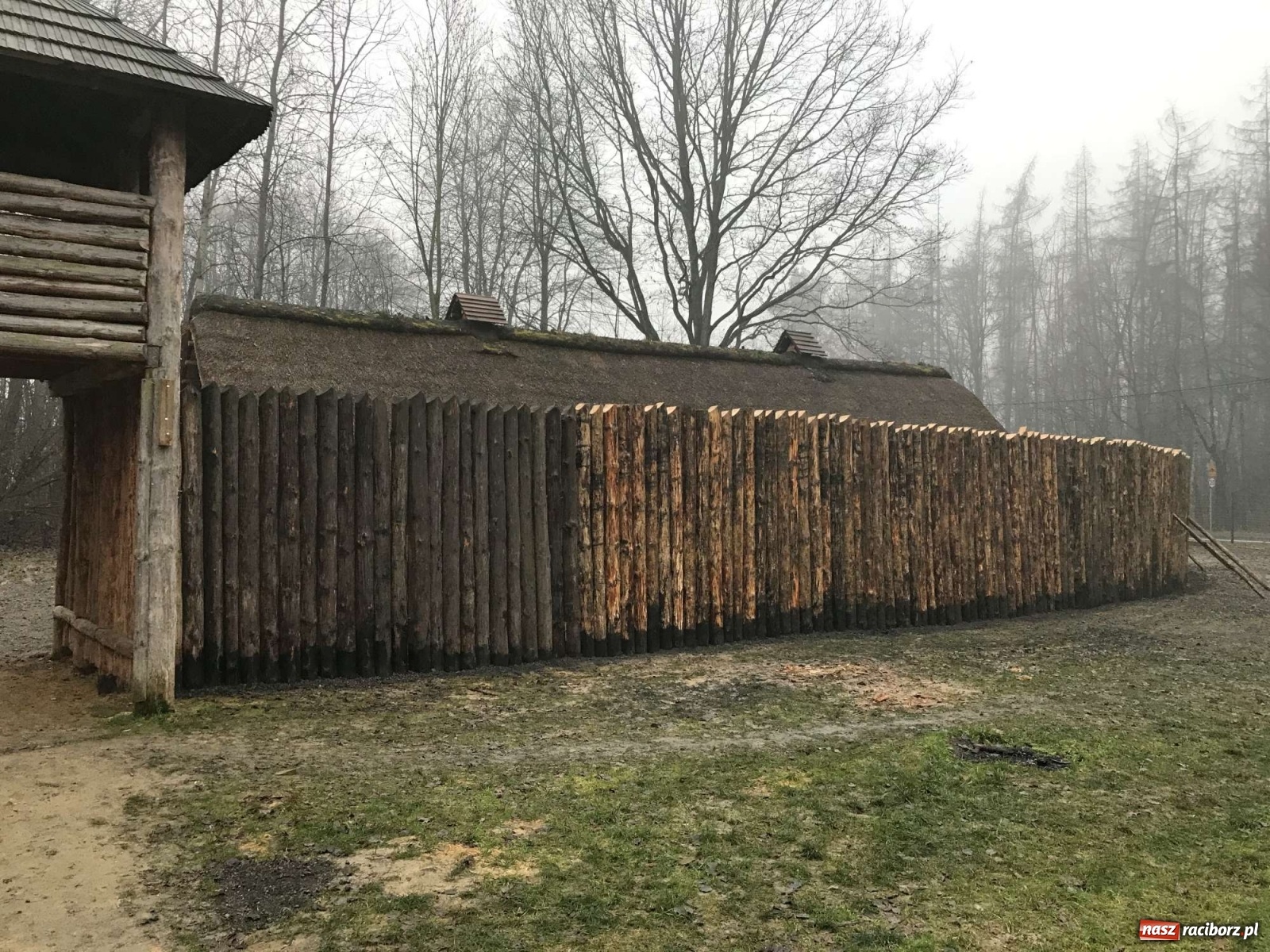 Zdjęcie w galerii na portalu naszraciborz.pl: Przy grodzie pod Oborą stanęła palisada wiadomości z regionu