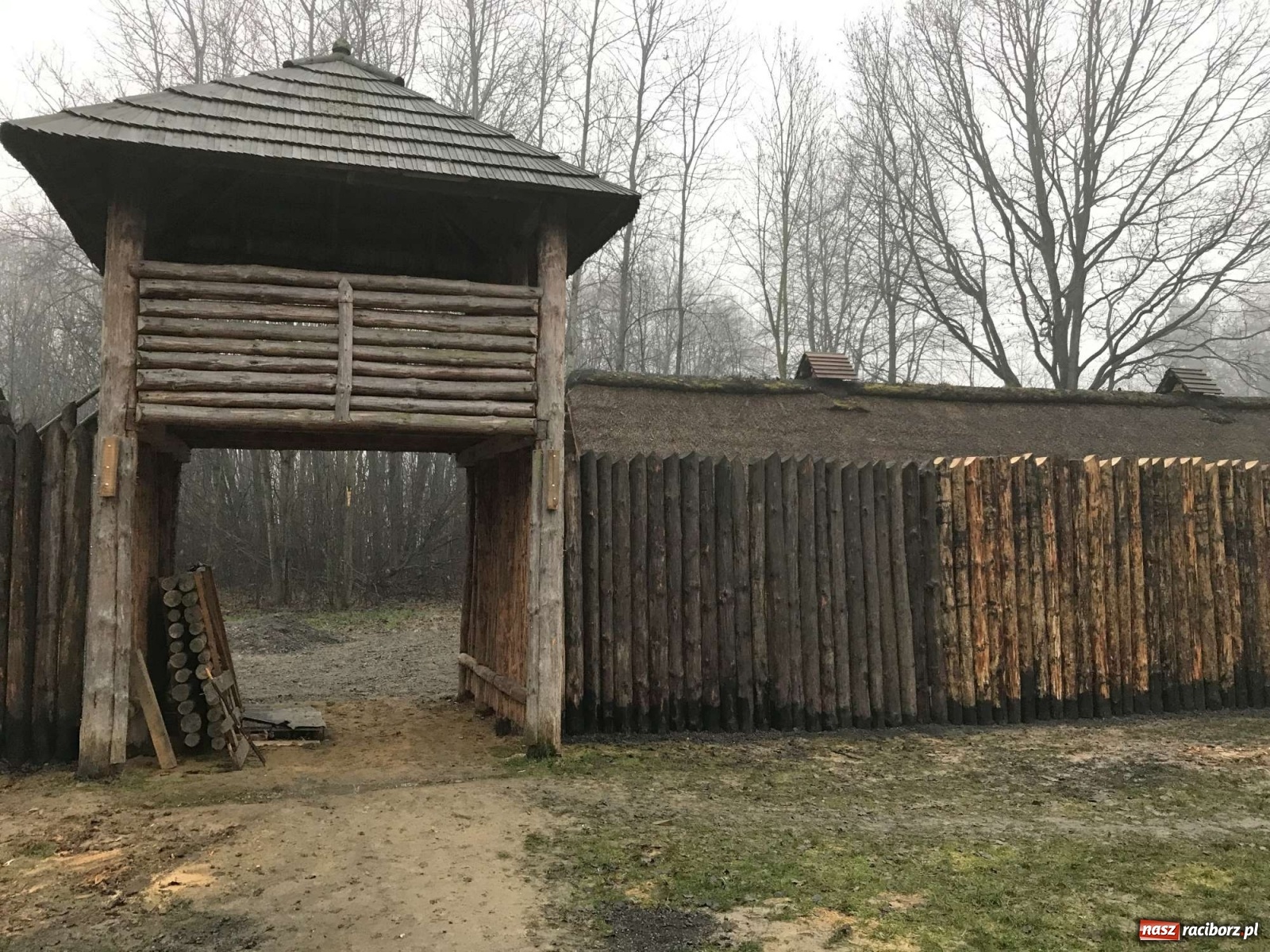 Zdjęcie w galerii na portalu naszraciborz.pl: Przy grodzie pod Oborą stanęła palisada wiadomości z regionu