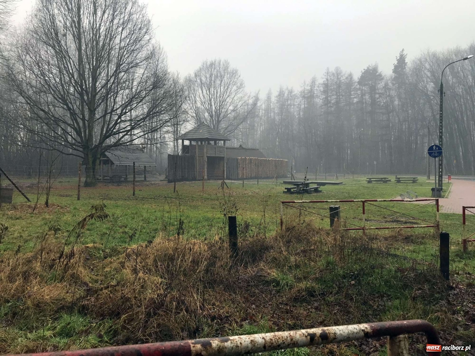 Zdjęcie w galerii na portalu naszraciborz.pl: Przy grodzie pod Oborą stanęła palisada wiadomości z regionu