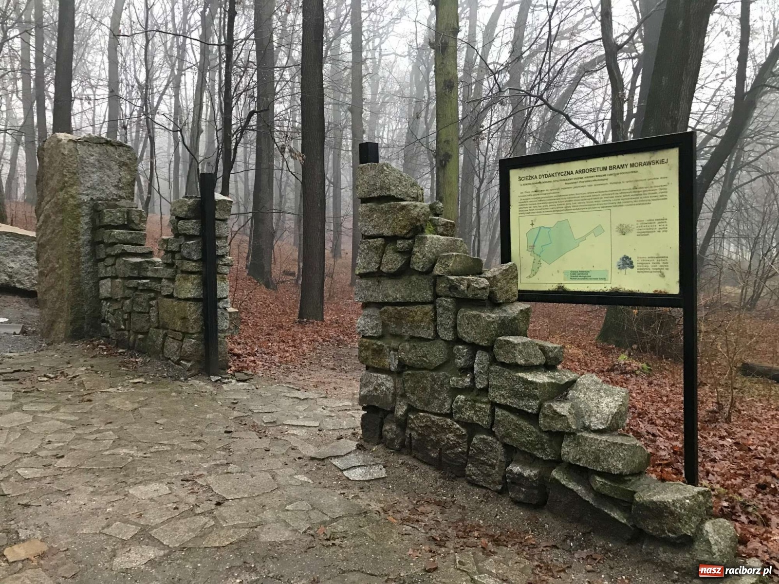 Zdjęcie w galerii na portalu naszraciborz.pl: Tyle zostało z kamiennej bramy w raciborskim Arboretum [FOTO] wiadomości z regionu