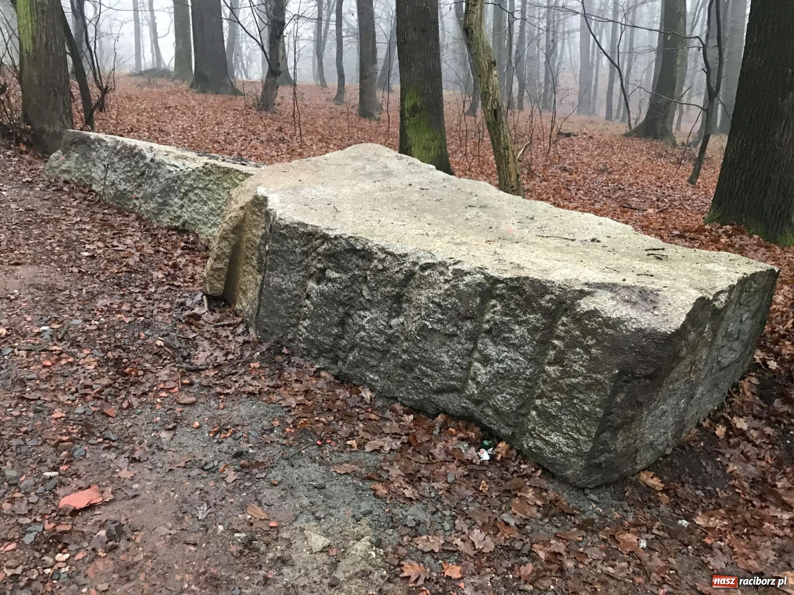 Zdjęcie w galerii na portalu naszraciborz.pl: Tyle zostało z kamiennej bramy w raciborskim Arboretum [FOTO] wiadomości z regionu