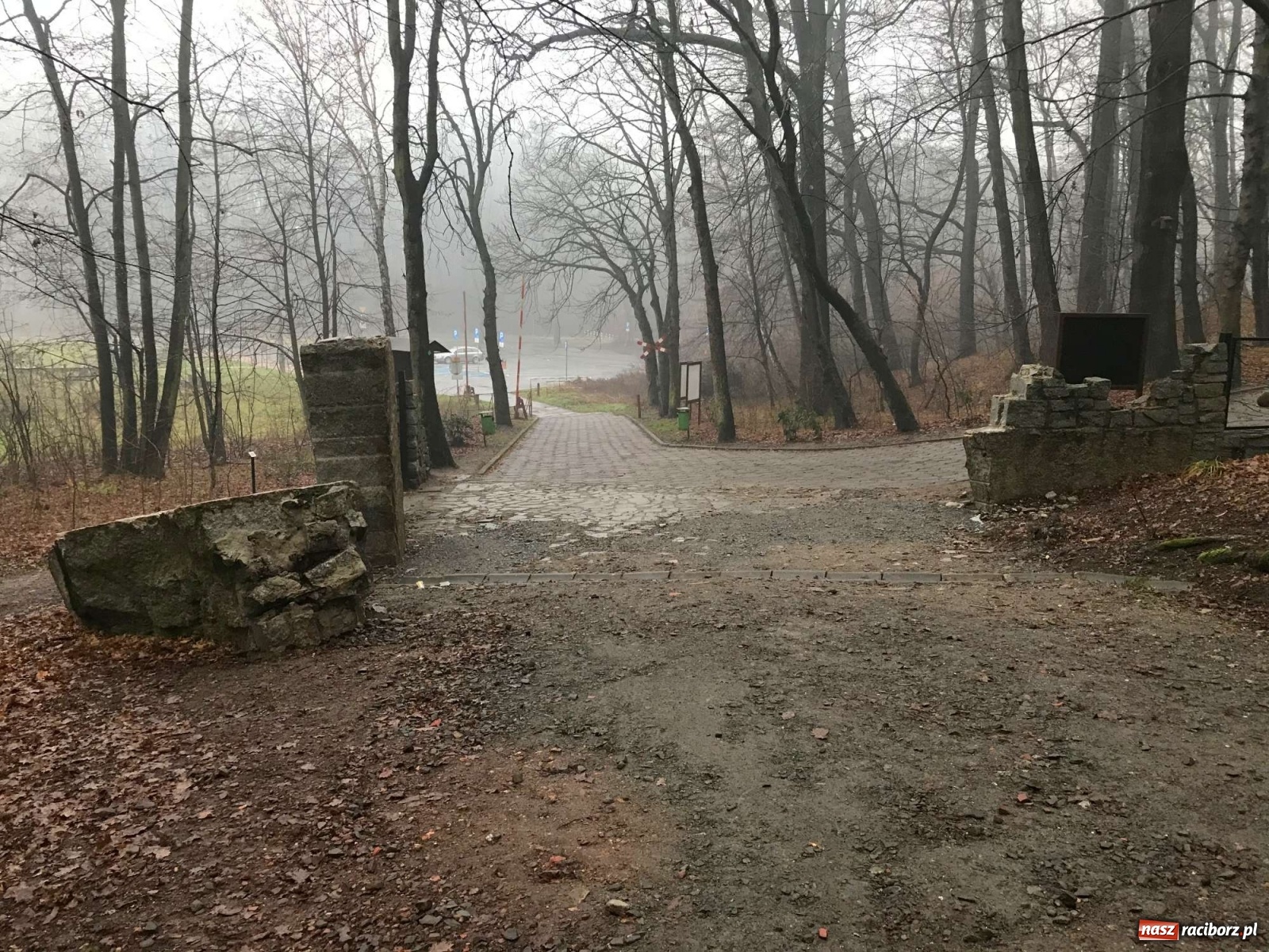 Zdjęcie w galerii na portalu naszraciborz.pl: Tyle zostało z kamiennej bramy w raciborskim Arboretum [FOTO] wiadomości z regionu
