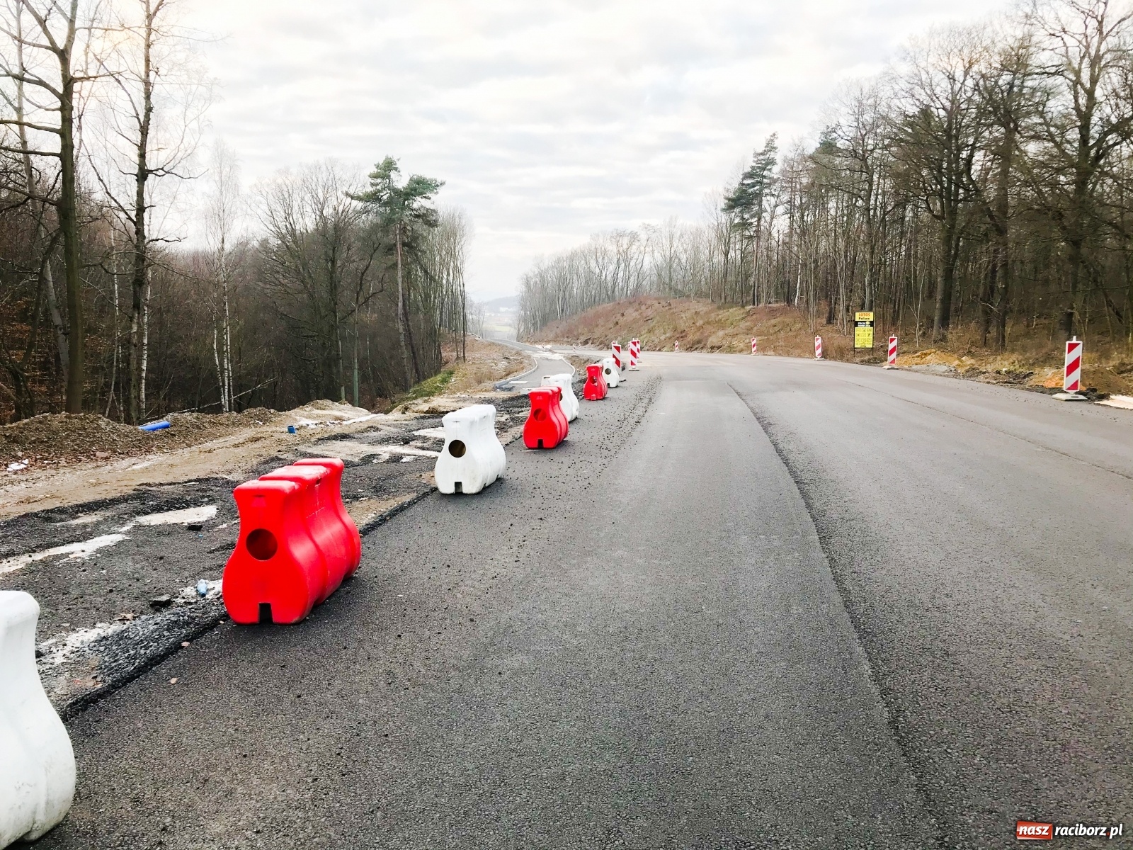 Zdjęcie w galerii na portalu naszraciborz.pl: DW 935 Racibórz-Rybnik. Szykuje nam się piękna trasa rowerowa [FOTO] wiadomości z regionu