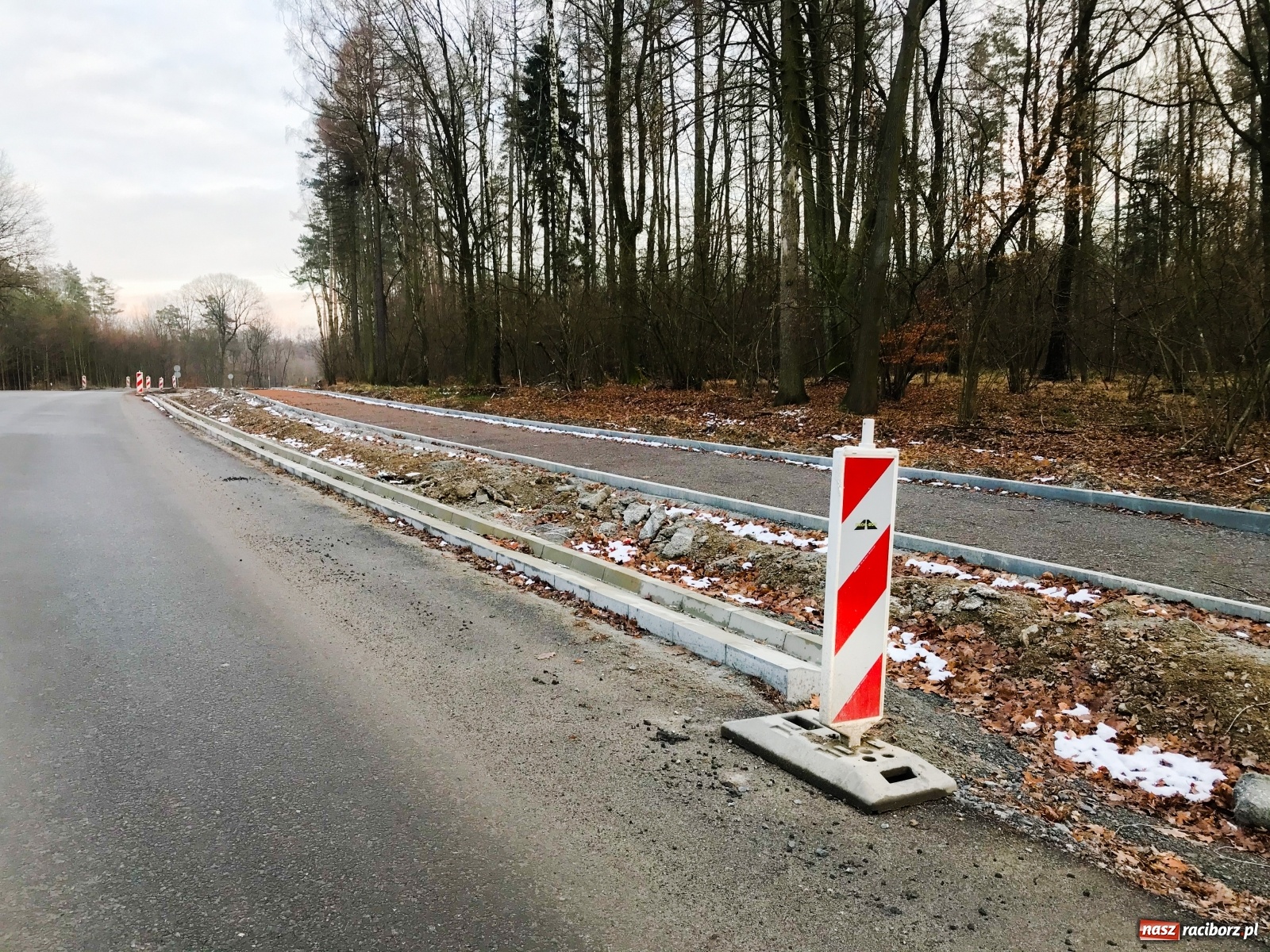 Zdjęcie w galerii na portalu naszraciborz.pl: DW 935 Racibórz-Rybnik. Szykuje nam się piękna trasa rowerowa [FOTO] wiadomości z regionu