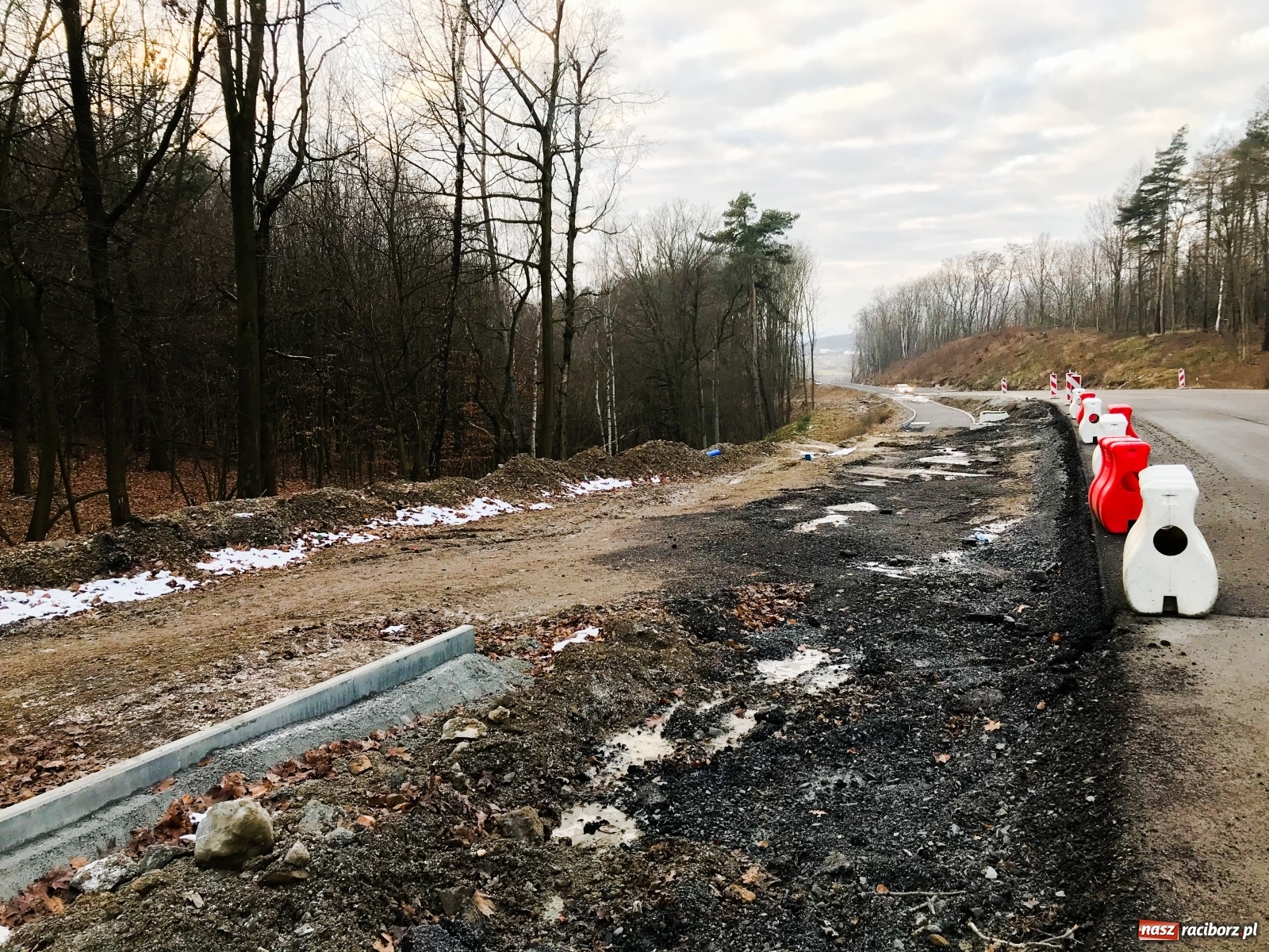 Zdjęcie w galerii na portalu naszraciborz.pl: DW 935 Racibórz-Rybnik. Szykuje nam się piękna trasa rowerowa [FOTO] wiadomości z regionu