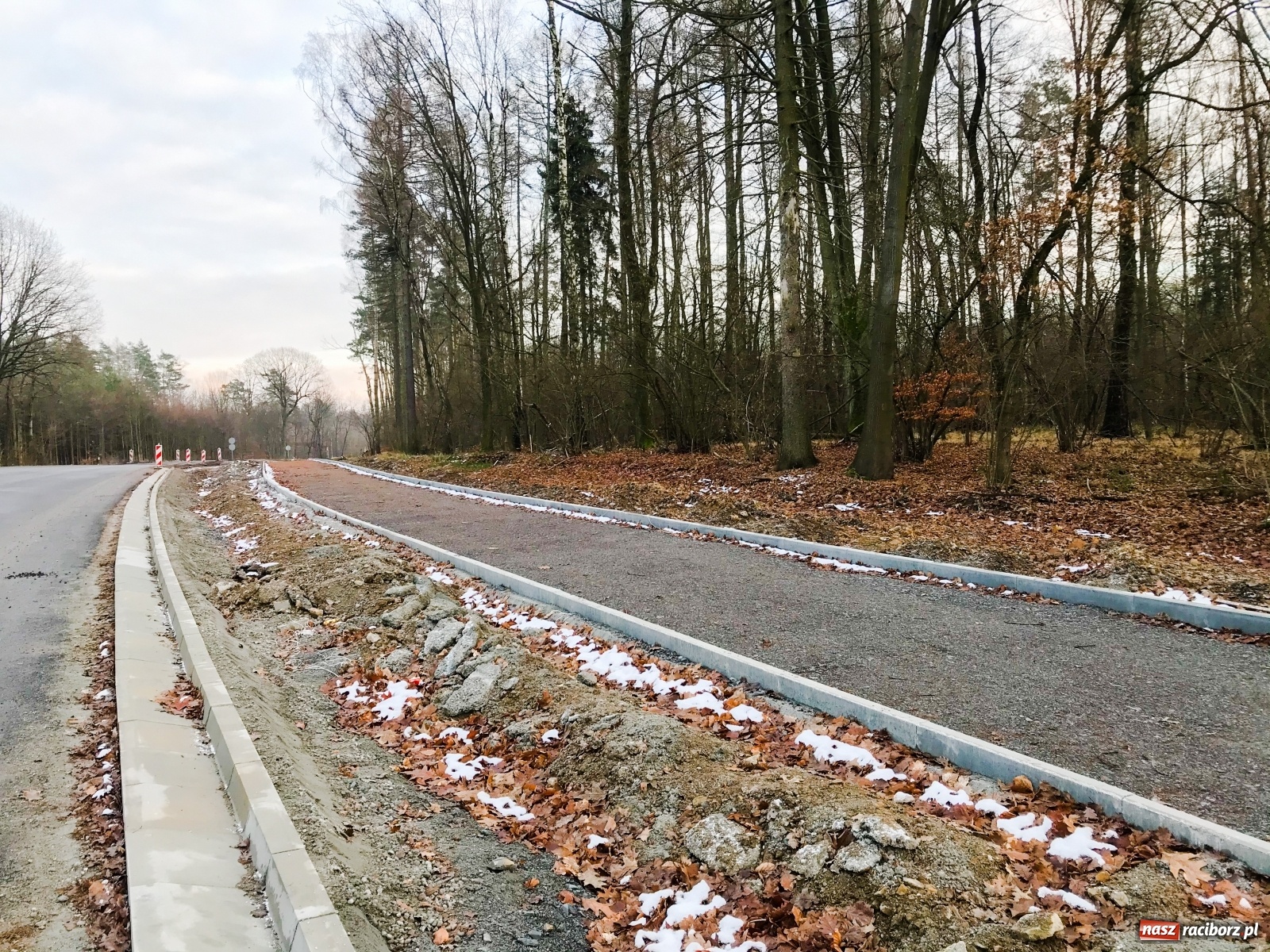 Zdjęcie w galerii na portalu naszraciborz.pl: DW 935 Racibórz-Rybnik. Szykuje nam się piękna trasa rowerowa [FOTO] wiadomości z regionu