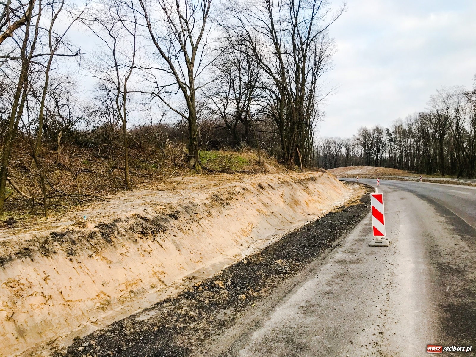 Zdjęcie w galerii na portalu naszraciborz.pl: DW 935 Racibórz-Rybnik. Szykuje nam się piękna trasa rowerowa [FOTO] wiadomości z regionu