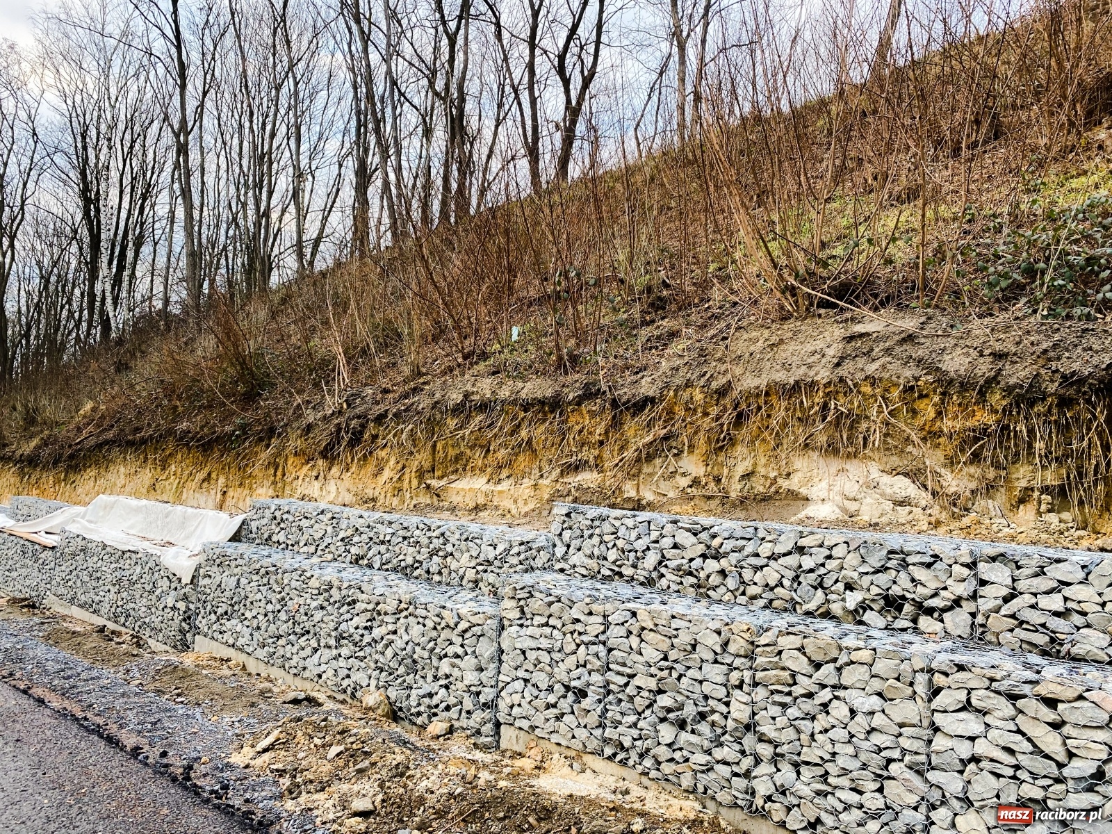 Zdjęcie w galerii na portalu naszraciborz.pl: DW 935 Racibórz-Rybnik. Szykuje nam się piękna trasa rowerowa [FOTO] wiadomości z regionu