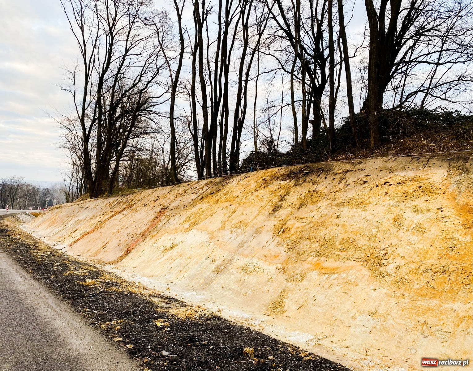 Zdjęcie w galerii na portalu naszraciborz.pl: DW 935 Racibórz-Rybnik. Szykuje nam się piękna trasa rowerowa [FOTO] wiadomości z regionu