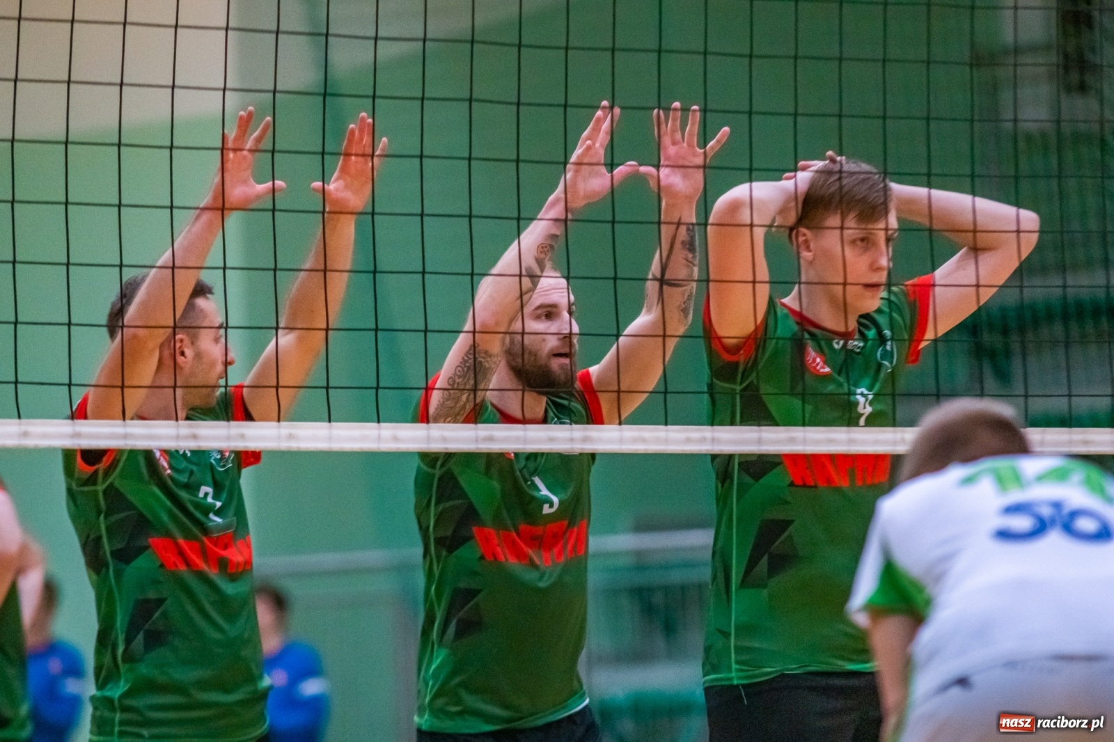 Zdjęcie w galerii na portalu naszraciborz.pl: Ważne trzy punkty siatkarzy AZS Rafako [FOTO i WIDEO] wiadomości z regionu