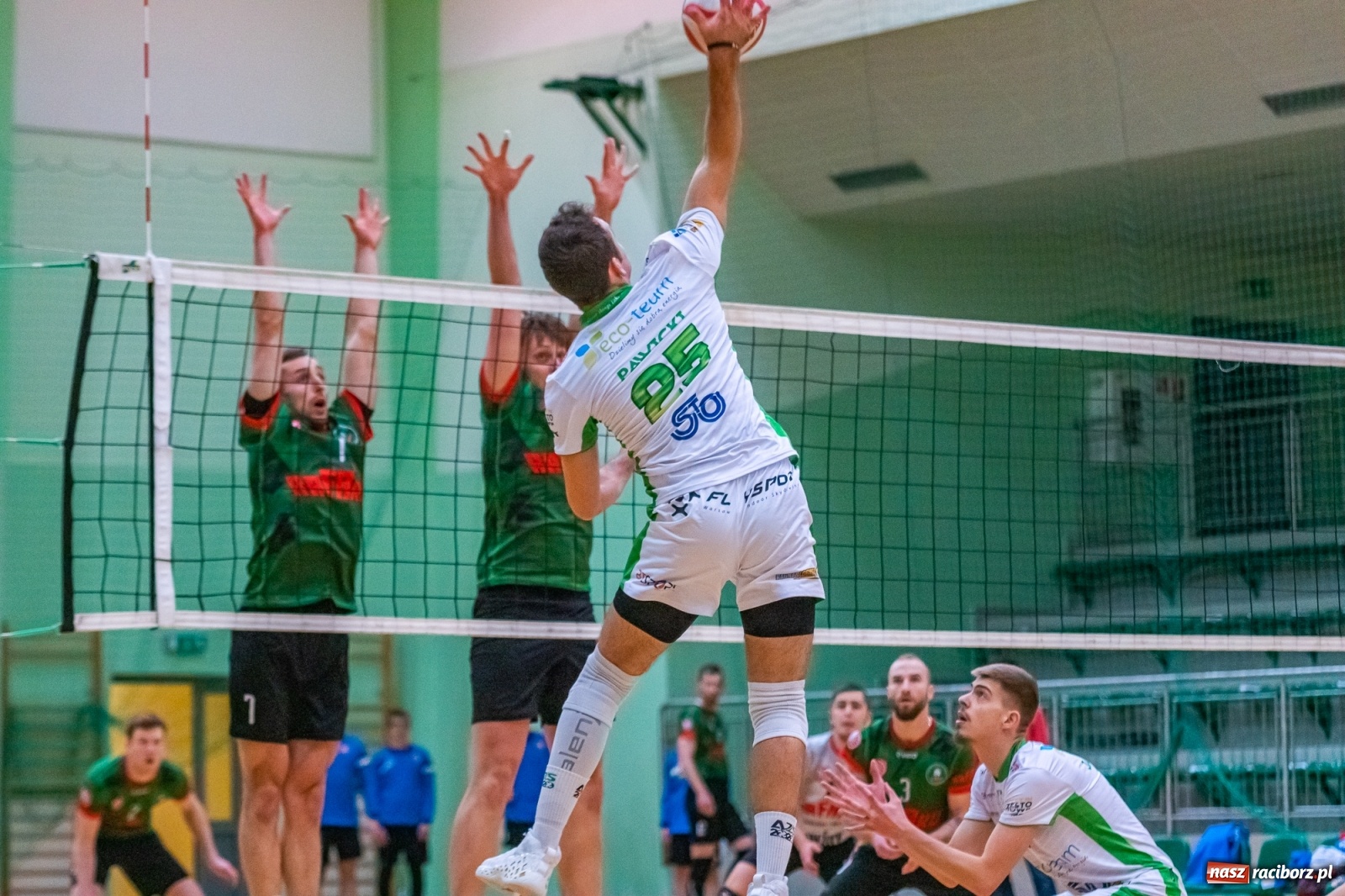 Zdjęcie w galerii na portalu naszraciborz.pl: Ważne trzy punkty siatkarzy AZS Rafako [FOTO i WIDEO] wiadomości z regionu
