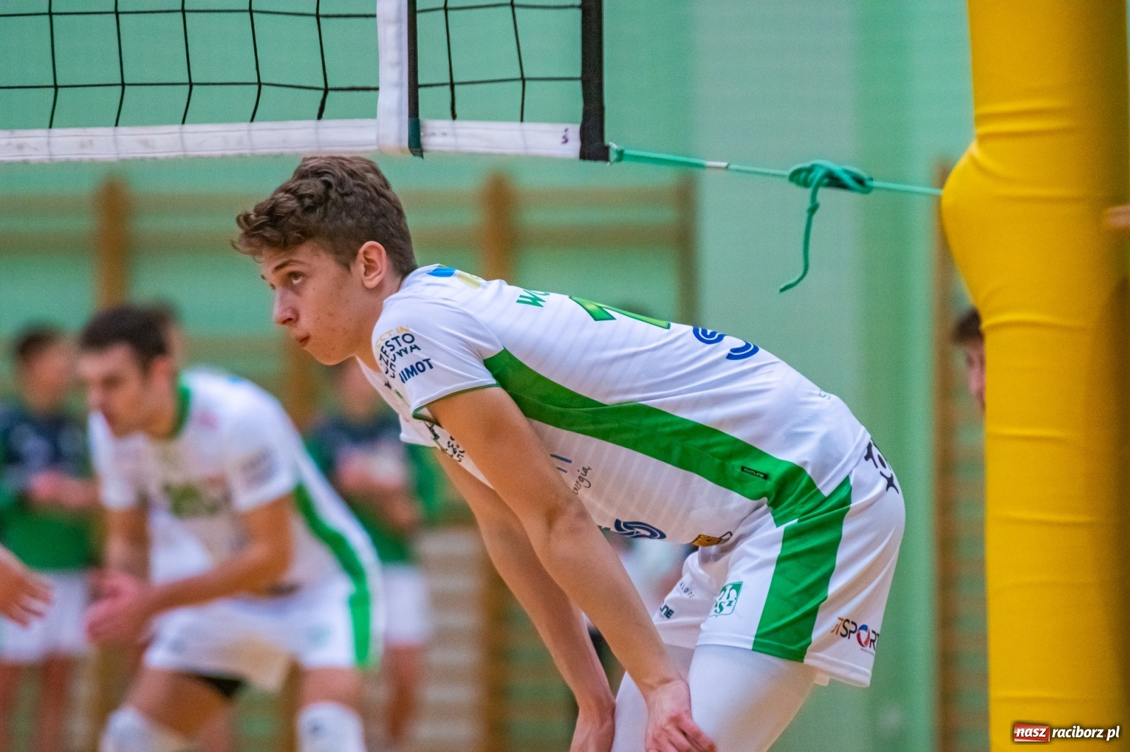 Zdjęcie w galerii na portalu naszraciborz.pl: Ważne trzy punkty siatkarzy AZS Rafako [FOTO i WIDEO] wiadomości z regionu