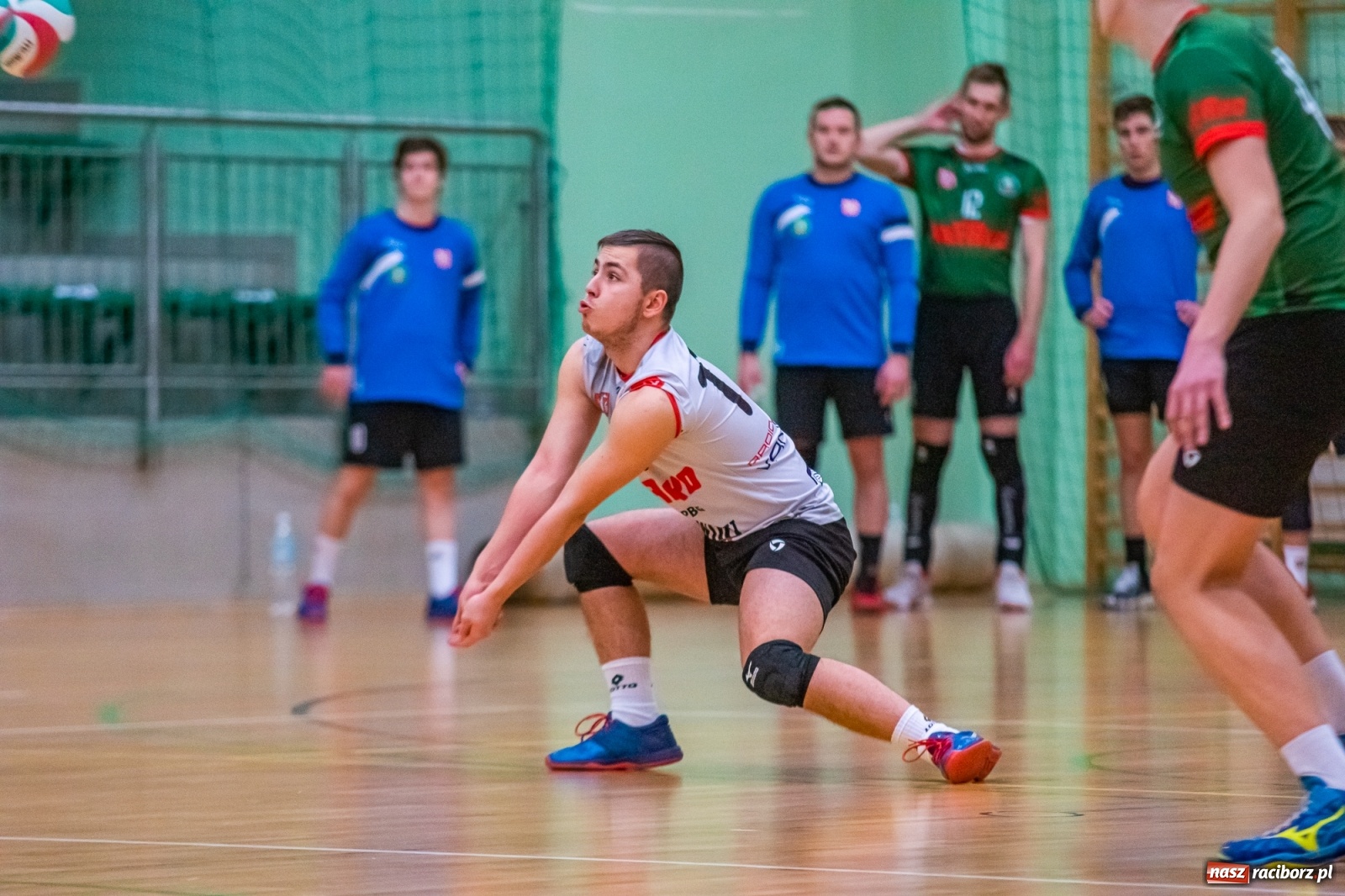 Zdjęcie w galerii na portalu naszraciborz.pl: Ważne trzy punkty siatkarzy AZS Rafako [FOTO i WIDEO] wiadomości z regionu
