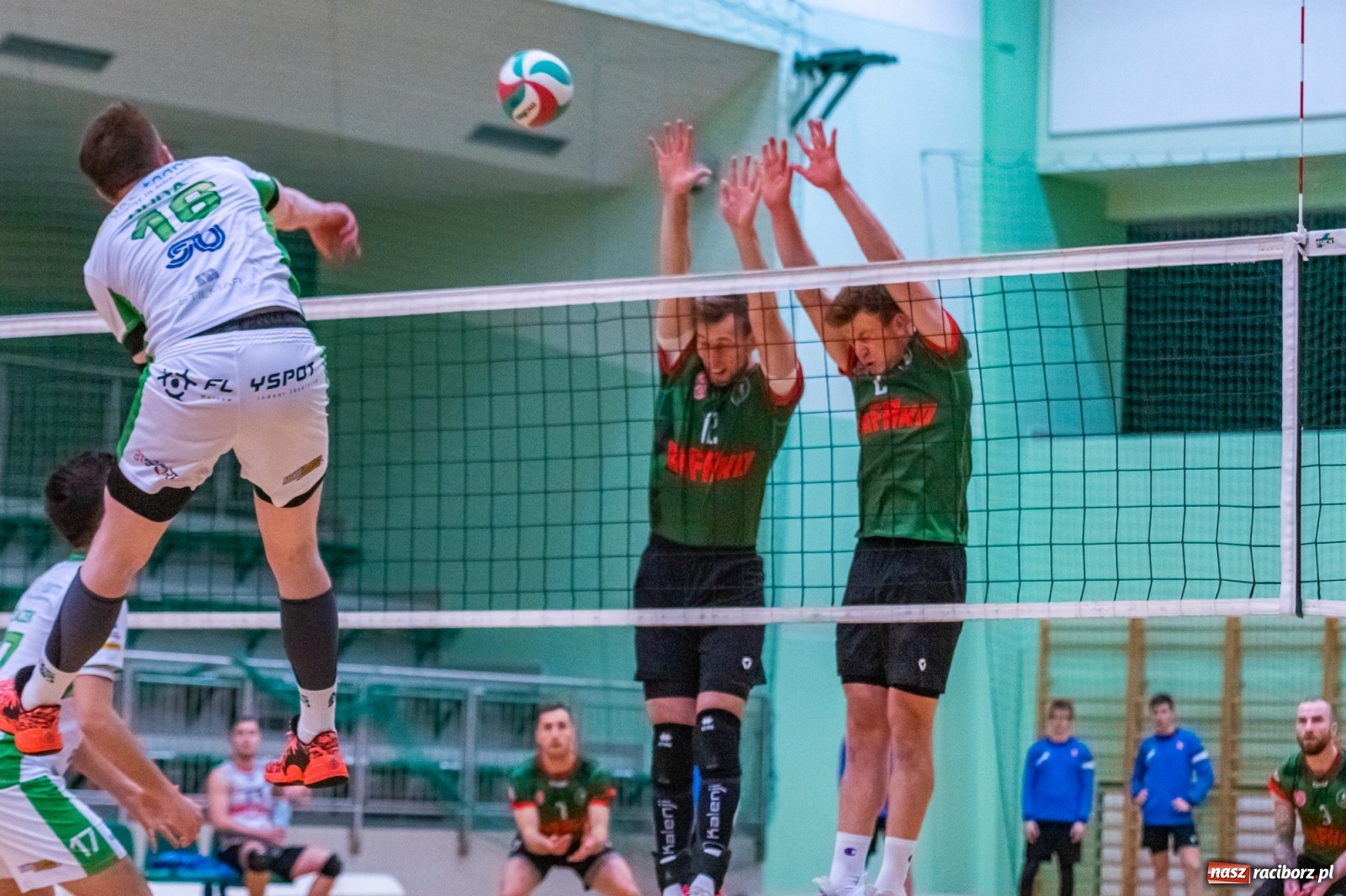 Zdjęcie w galerii na portalu naszraciborz.pl: Ważne trzy punkty siatkarzy AZS Rafako [FOTO i WIDEO] wiadomości z regionu