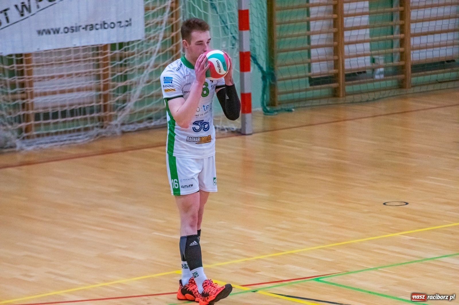 Zdjęcie w galerii na portalu naszraciborz.pl: Ważne trzy punkty siatkarzy AZS Rafako [FOTO i WIDEO] wiadomości z regionu