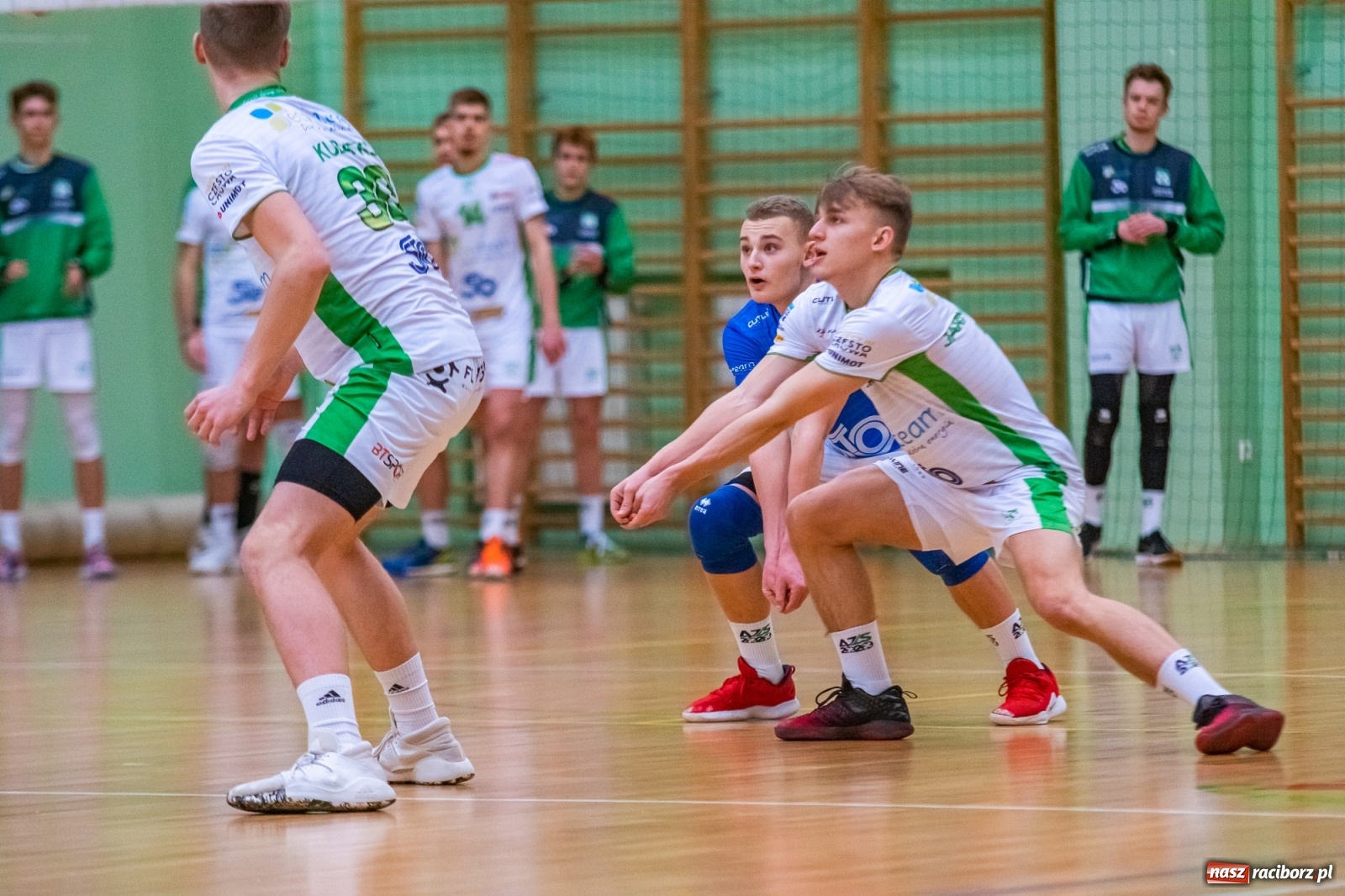 Zdjęcie w galerii na portalu naszraciborz.pl: Ważne trzy punkty siatkarzy AZS Rafako [FOTO i WIDEO] wiadomości z regionu