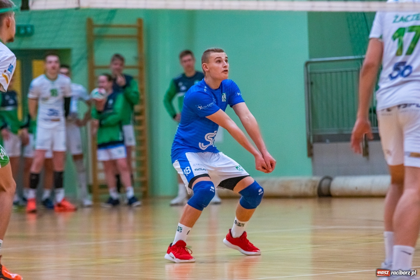 Zdjęcie w galerii na portalu naszraciborz.pl: Ważne trzy punkty siatkarzy AZS Rafako [FOTO i WIDEO] wiadomości z regionu