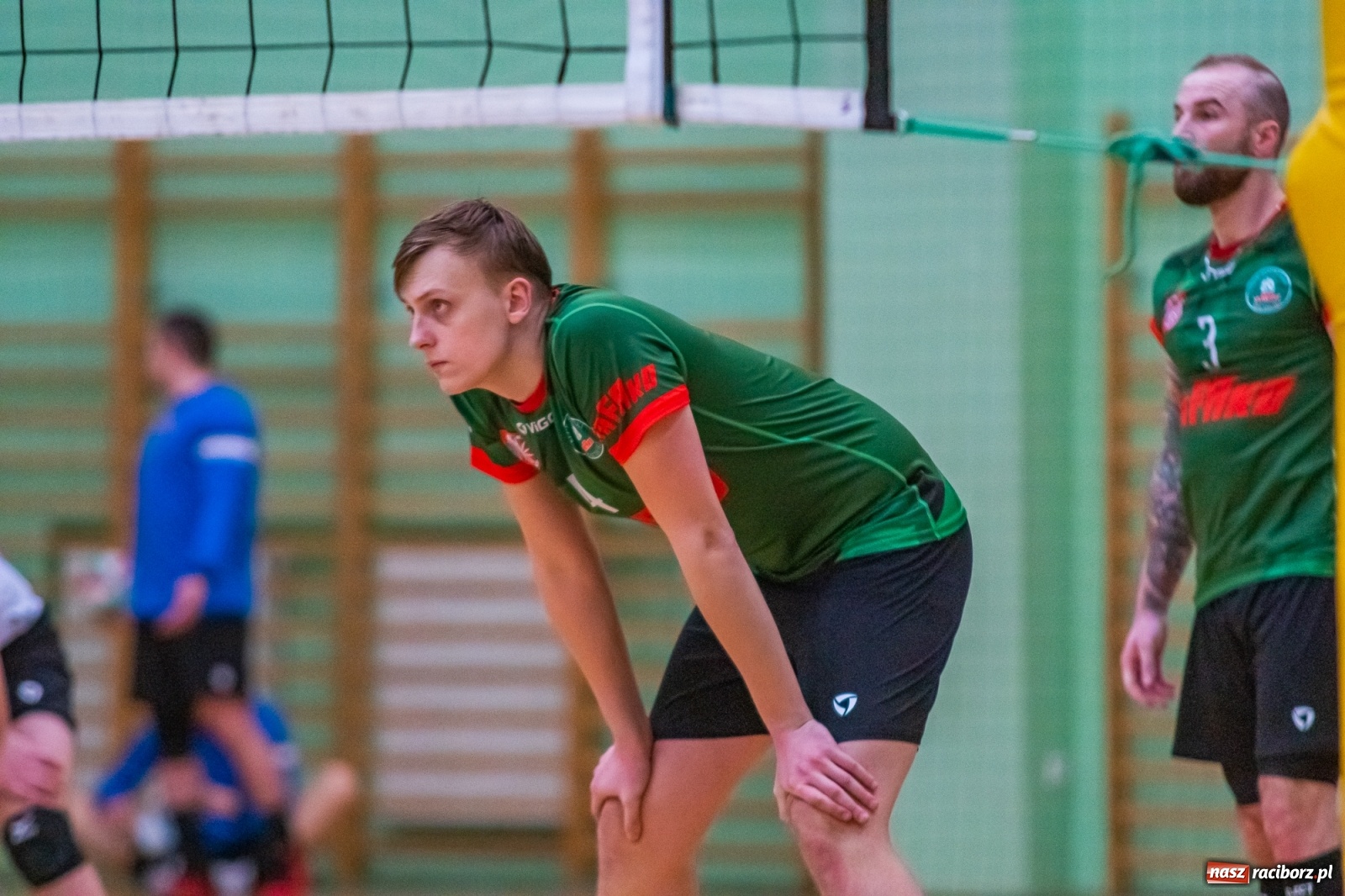 Zdjęcie w galerii na portalu naszraciborz.pl: Ważne trzy punkty siatkarzy AZS Rafako [FOTO i WIDEO] wiadomości z regionu