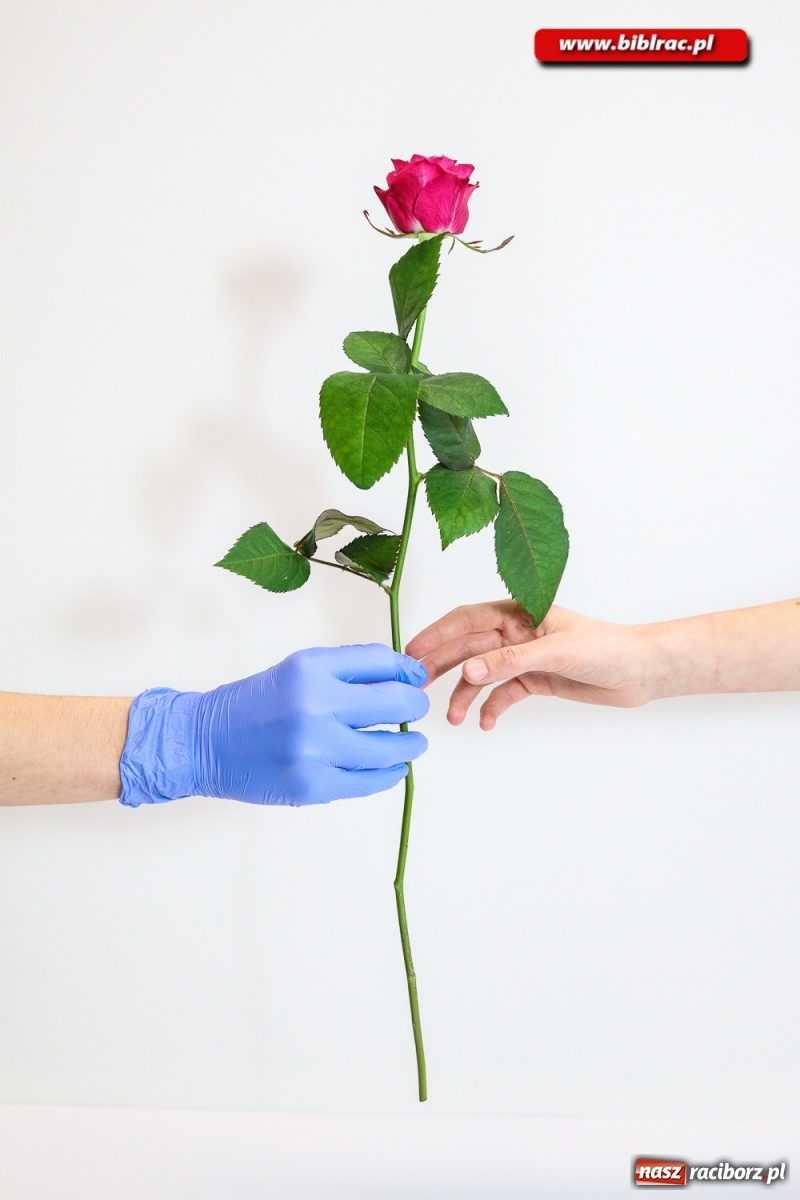 Zdjęcie w galerii na portalu naszraciborz.pl:  Kreatywna fotografia z raciborską biblioteką wiadomości z regionu