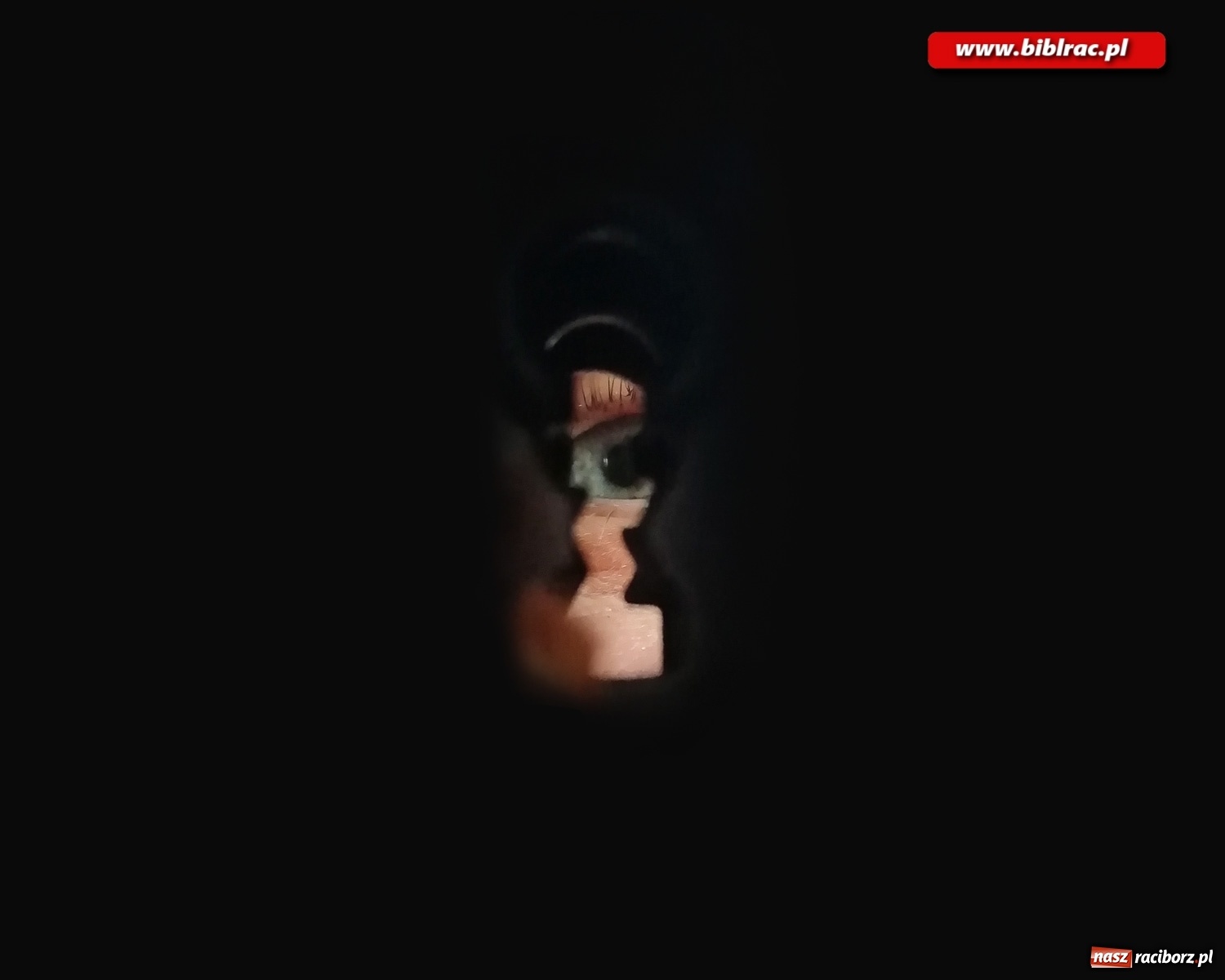 Zdjęcie w galerii na portalu naszraciborz.pl:  Kreatywna fotografia z raciborską biblioteką wiadomości z regionu