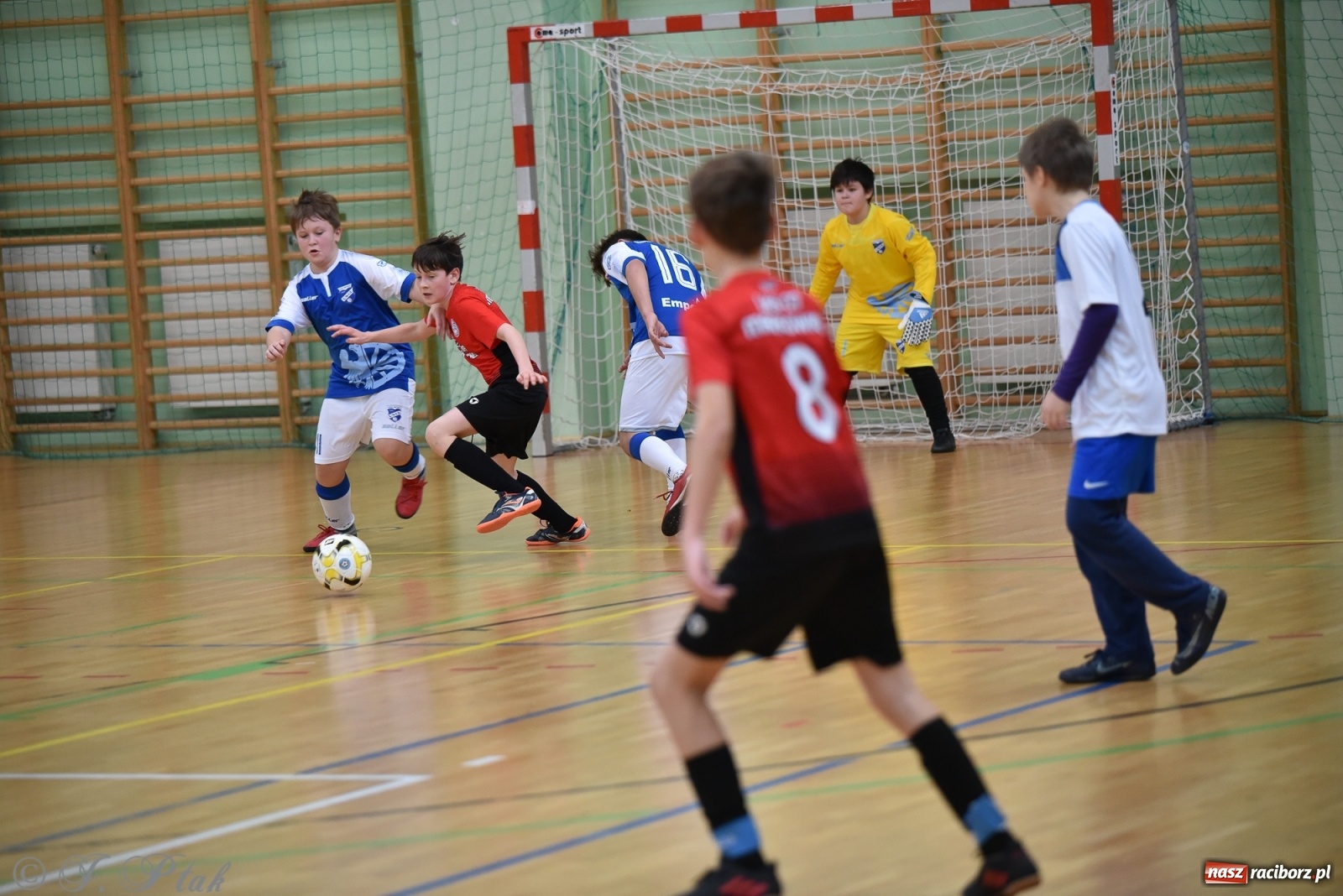 Zdjęcie w galerii na portalu naszraciborz.pl: Halowa rywalizacja o puchar prezesa ŚlZPN [FOTO] wiadomości z regionu
