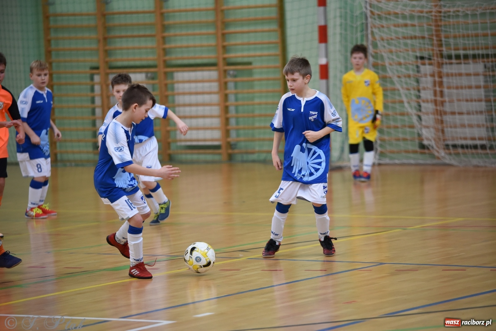 Zdjęcie w galerii na portalu naszraciborz.pl: Halowa rywalizacja o puchar prezesa ŚlZPN [FOTO] wiadomości z regionu