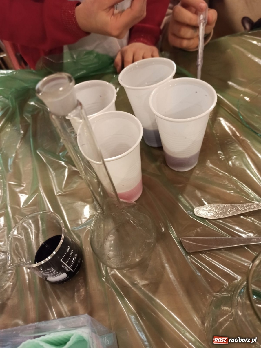 Zdjęcie w galerii na portalu naszraciborz.pl: Ferie Zimowe 2021 na Zamku Piastowskim za nami [FOTO] wiadomości z regionu