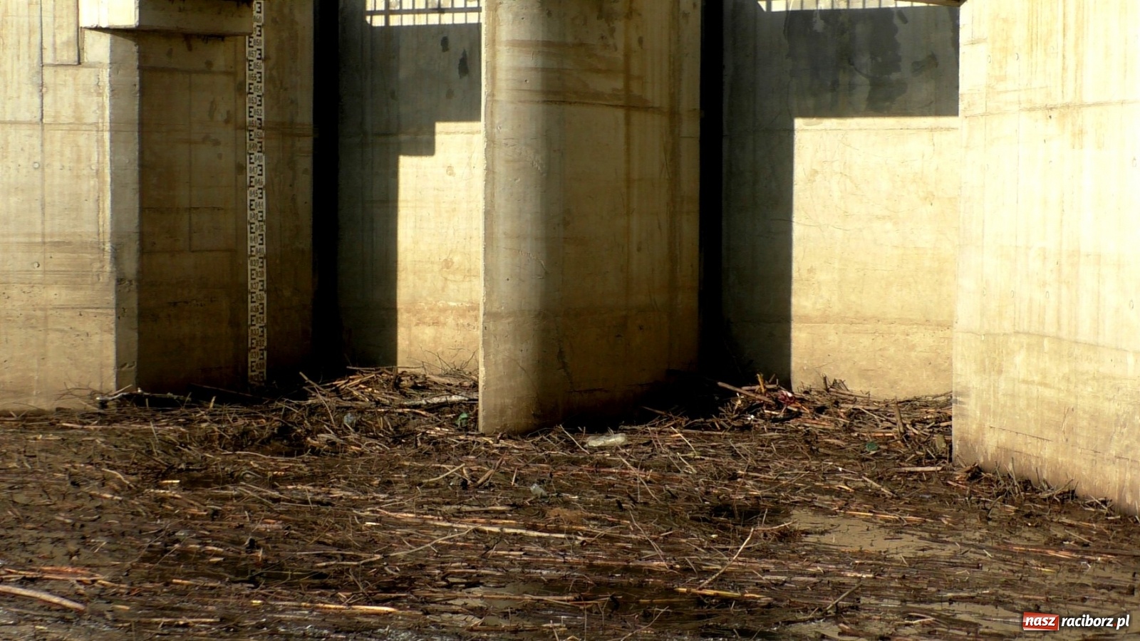 Zdjęcie w galerii na portalu naszraciborz.pl: Zator na Odrze za Rafako. Jak ma przepływać woda i ryby?  wiadomości z regionu