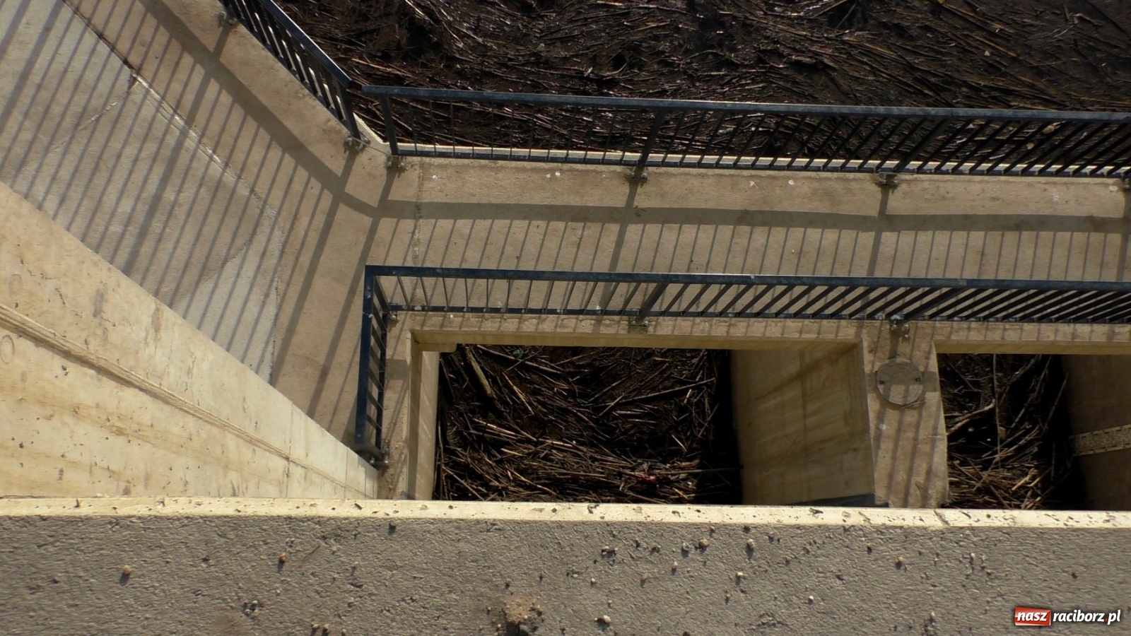 Zdjęcie w galerii na portalu naszraciborz.pl: Zator na Odrze za Rafako. Jak ma przepływać woda i ryby?  wiadomości z regionu