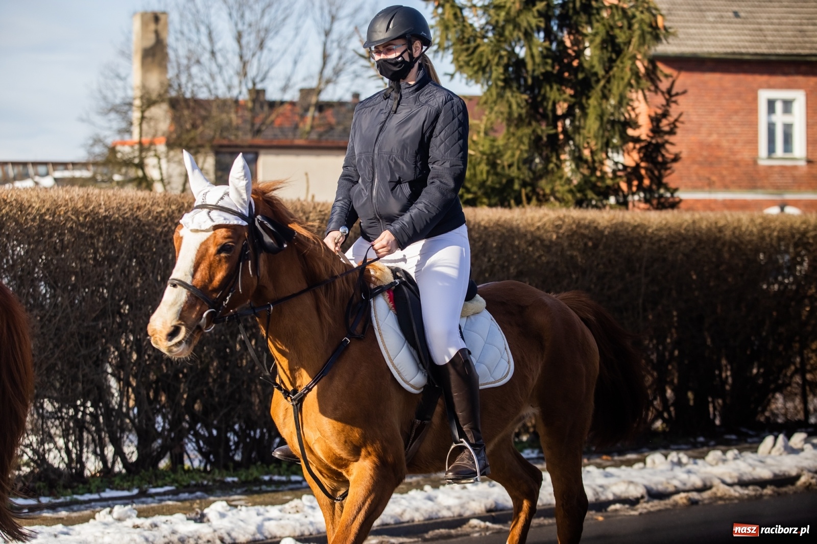 Zdjęcie w galerii na portalu naszraciborz.pl: Ostatnie pożegnanie miłośnika koni Henryka Malcharczyka wiadomości z regionu