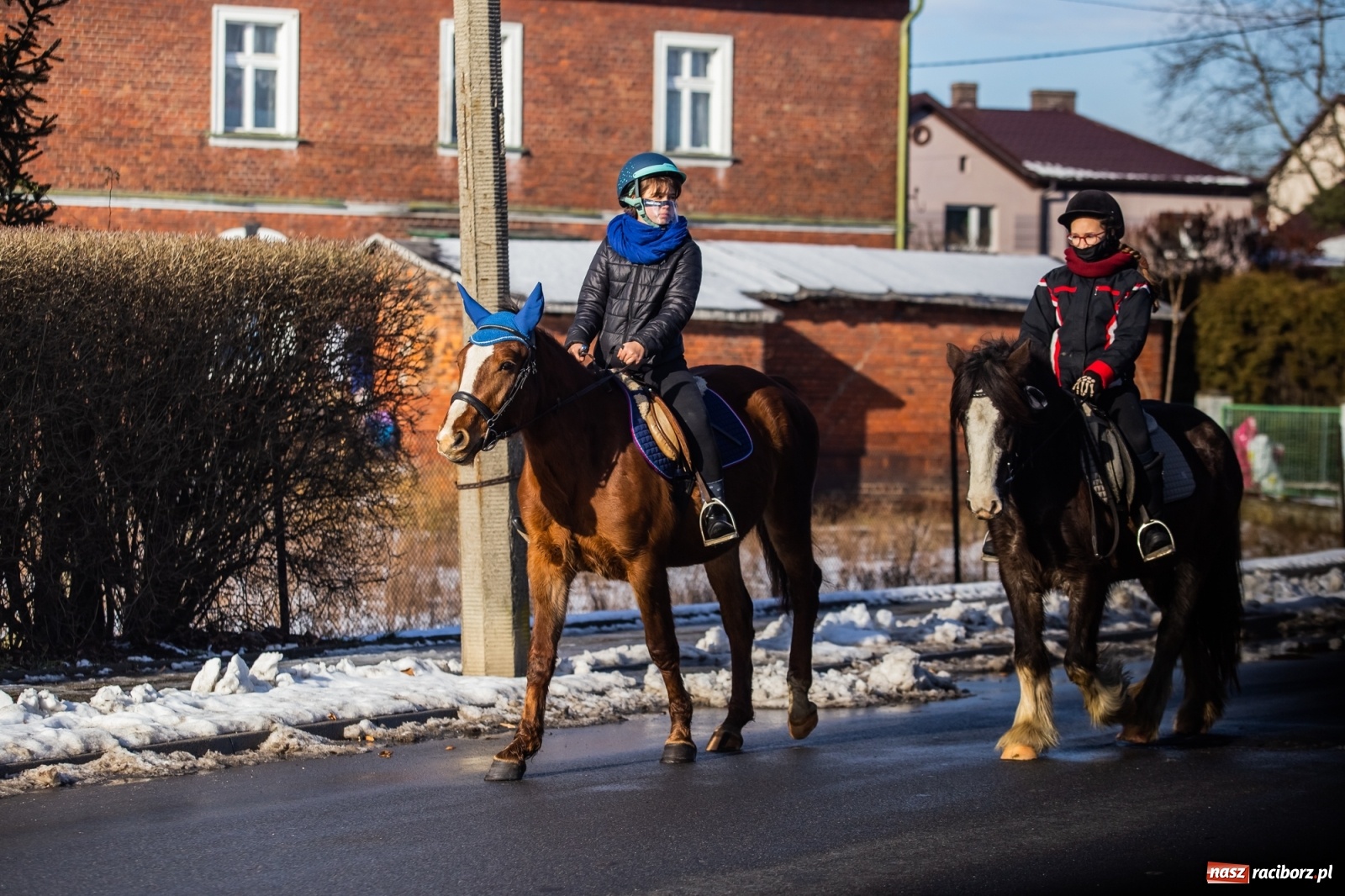Zdjęcie w galerii na portalu naszraciborz.pl: Ostatnie pożegnanie miłośnika koni Henryka Malcharczyka wiadomości z regionu
