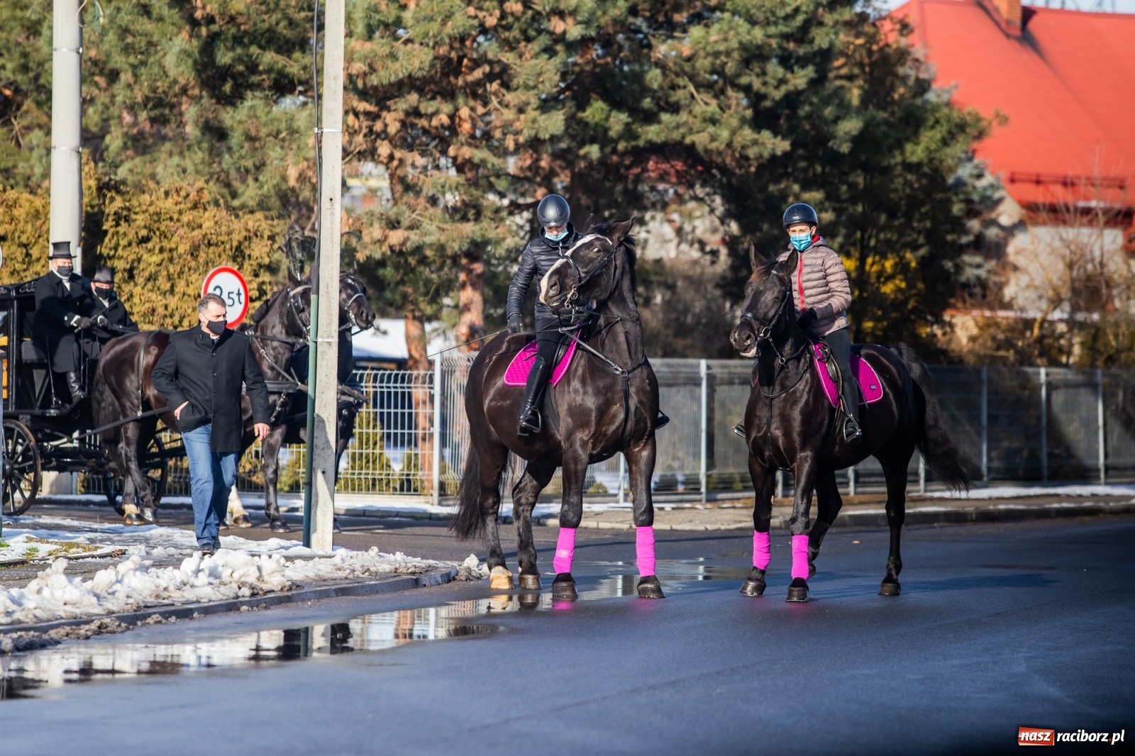 Zdjęcie w galerii na portalu naszraciborz.pl: Ostatnie pożegnanie miłośnika koni Henryka Malcharczyka wiadomości z regionu
