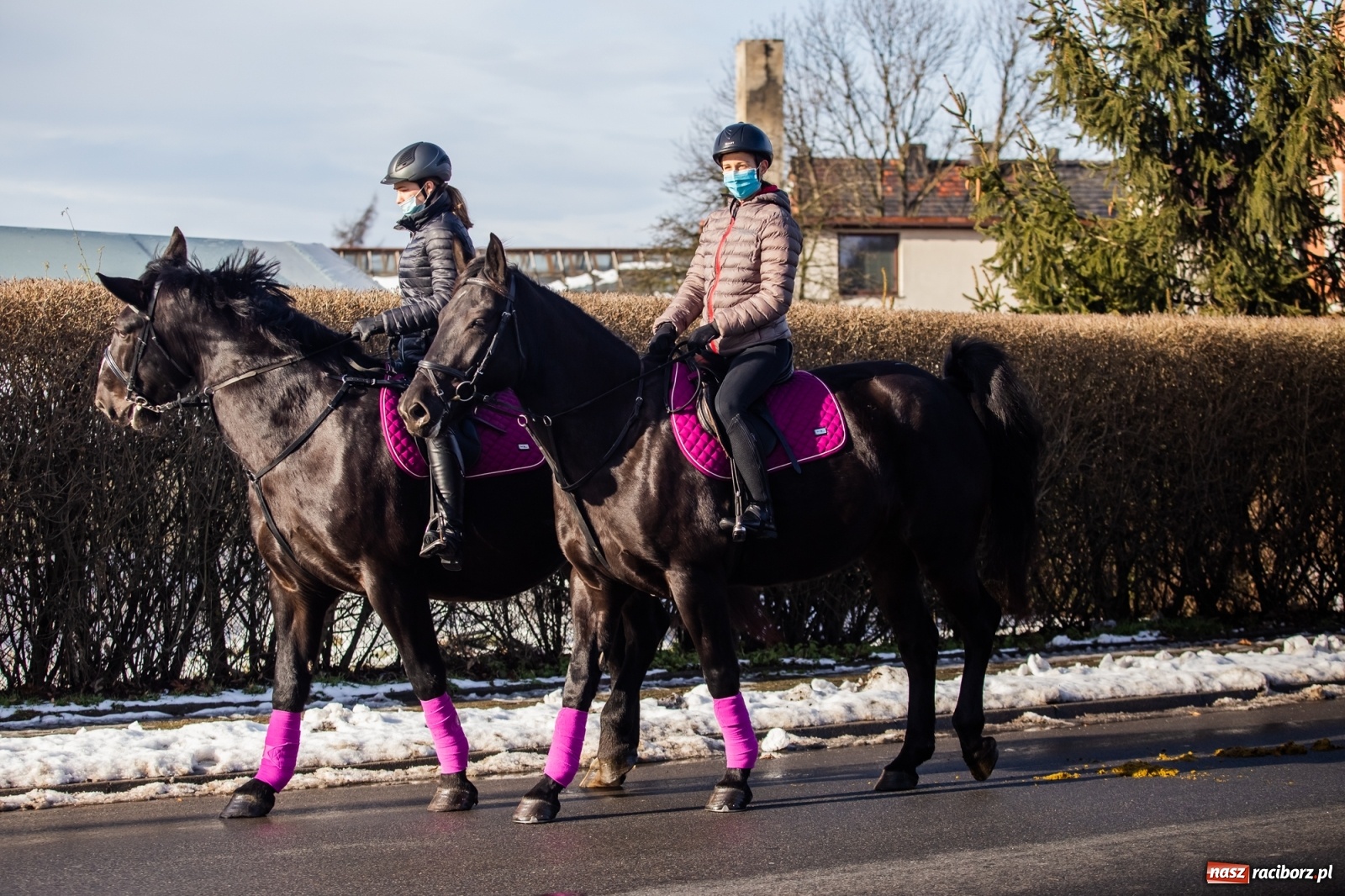 Zdjęcie w galerii na portalu naszraciborz.pl: Ostatnie pożegnanie miłośnika koni Henryka Malcharczyka wiadomości z regionu