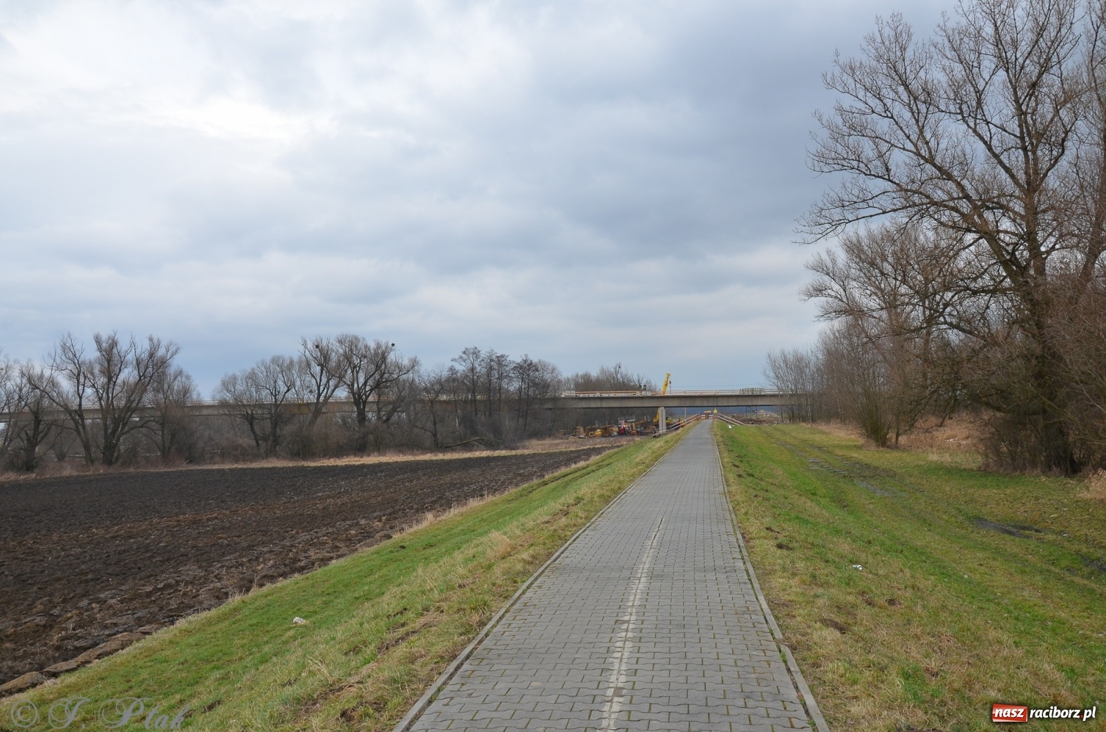 Zdjęcie w galerii na portalu naszraciborz.pl: Nowy most za żwirowniami na Ostrogu [FOTO]  wiadomości z regionu