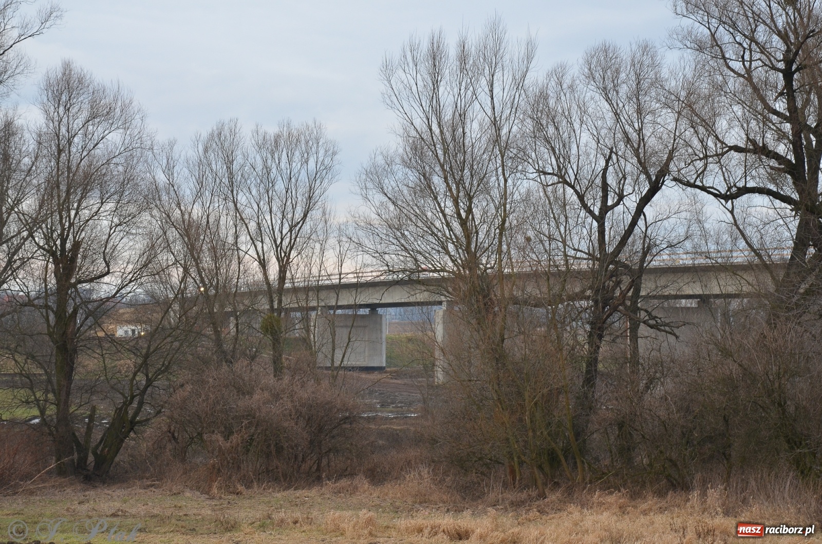 Zdjęcie w galerii na portalu naszraciborz.pl: Nowy most za żwirowniami na Ostrogu [FOTO]  wiadomości z regionu