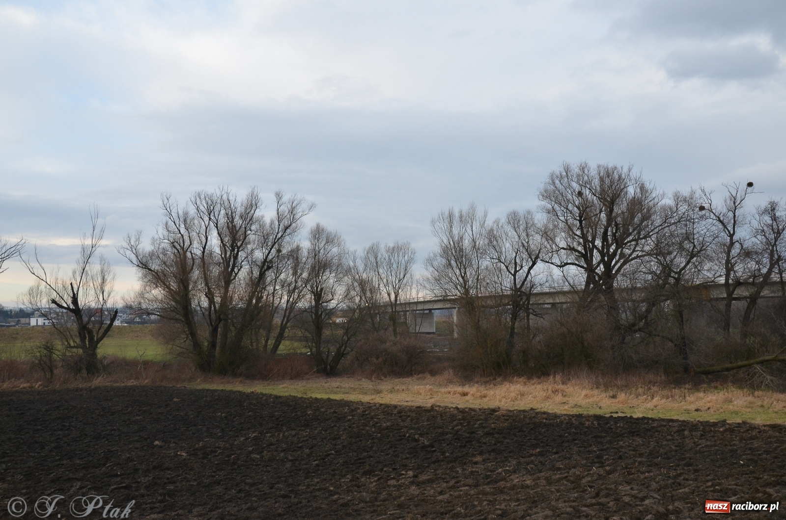 Zdjęcie w galerii na portalu naszraciborz.pl: Nowy most za żwirowniami na Ostrogu [FOTO]  wiadomości z regionu