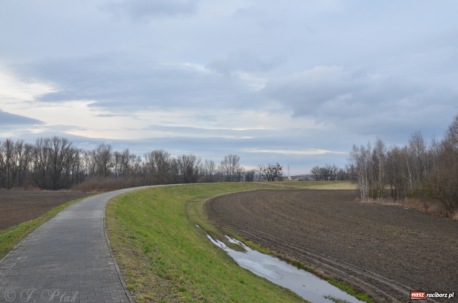 Zdjęcie w galerii na portalu naszraciborz.pl: Nowy most za żwirowniami na Ostrogu [FOTO]  wiadomości z regionu
