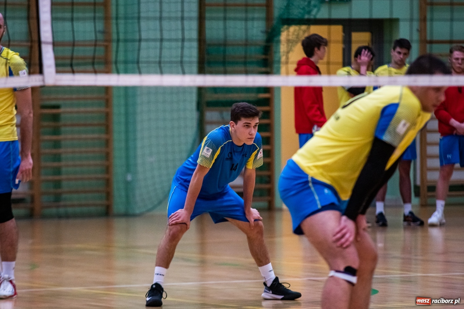 Zdjęcie w galerii na portalu naszraciborz.pl: Siatkarze Rafako bez życia. Porażka z Górnikiem Radlin [FOTO] wiadomości z regionu