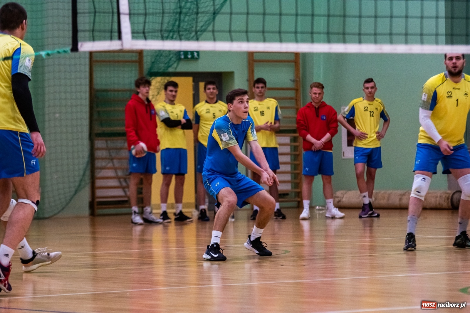 Zdjęcie w galerii na portalu naszraciborz.pl: Siatkarze Rafako bez życia. Porażka z Górnikiem Radlin [FOTO] wiadomości z regionu