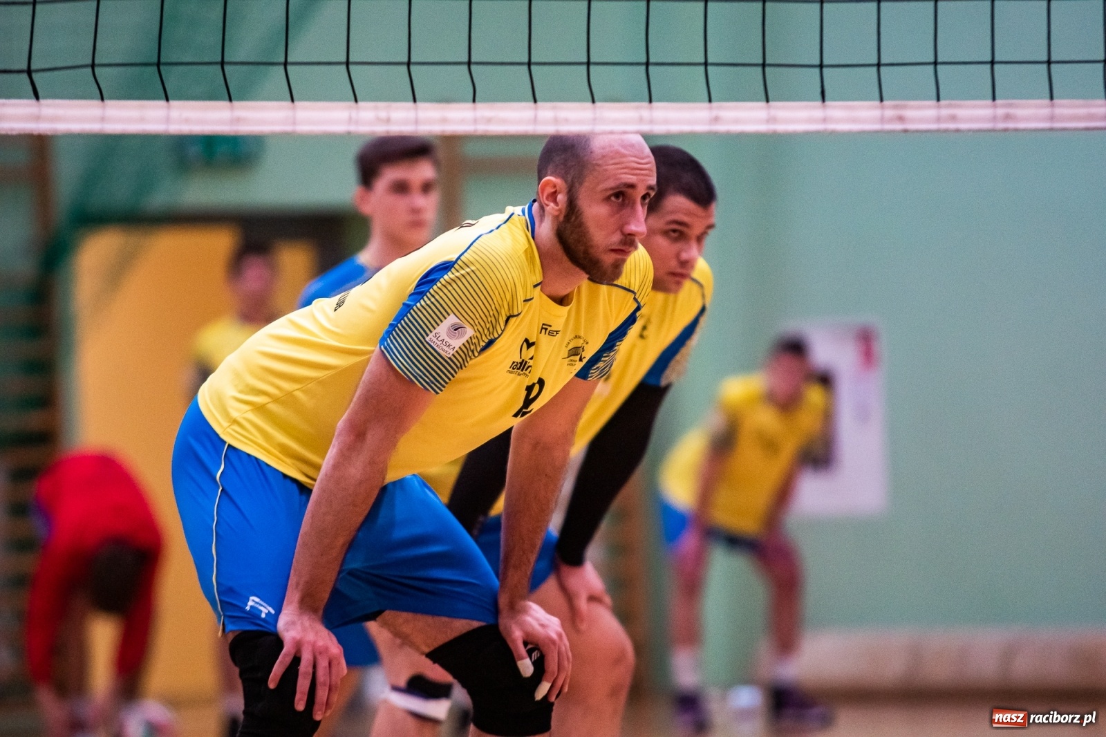 Zdjęcie w galerii na portalu naszraciborz.pl: Siatkarze Rafako bez życia. Porażka z Górnikiem Radlin [FOTO] wiadomości z regionu