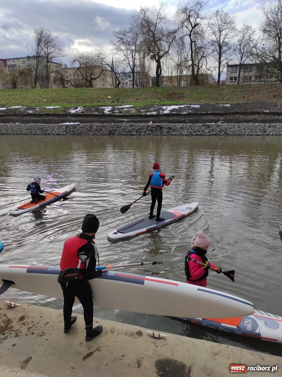 Zdjęcie w galerii na portalu naszraciborz.pl: Wioślarze z Raciborza ostro ćwiczą na Odrze wiadomości z regionu