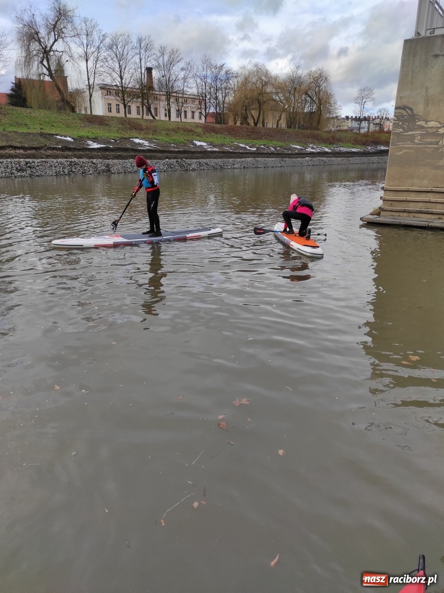 Zdjęcie w galerii na portalu naszraciborz.pl: Wioślarze z Raciborza ostro ćwiczą na Odrze wiadomości z regionu