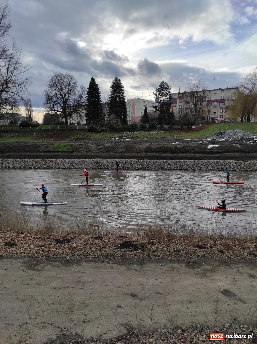 Zdjęcie w galerii na portalu naszraciborz.pl: Wioślarze z Raciborza ostro ćwiczą na Odrze wiadomości z regionu