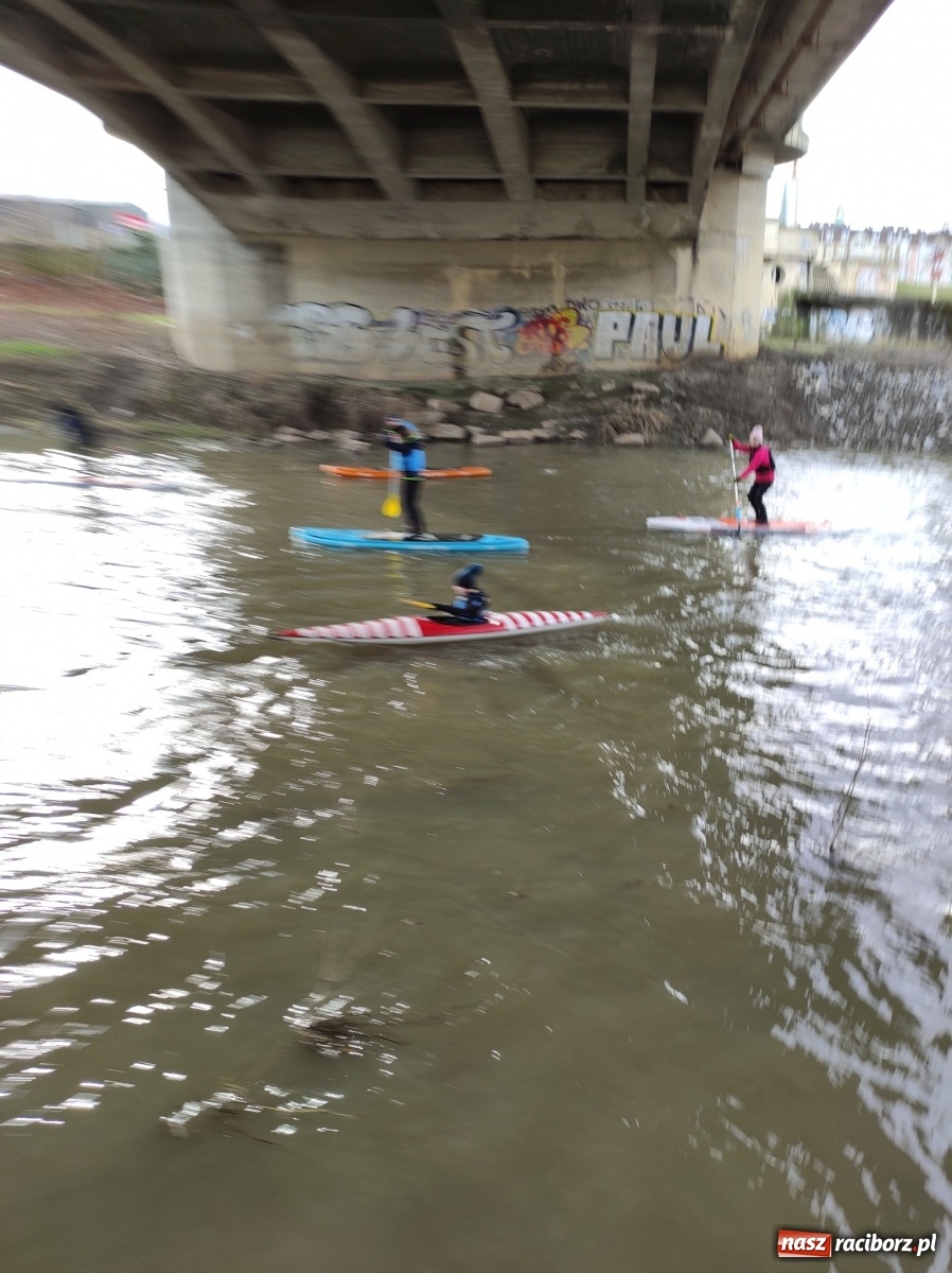 Zdjęcie w galerii na portalu naszraciborz.pl: Wioślarze z Raciborza ostro ćwiczą na Odrze wiadomości z regionu