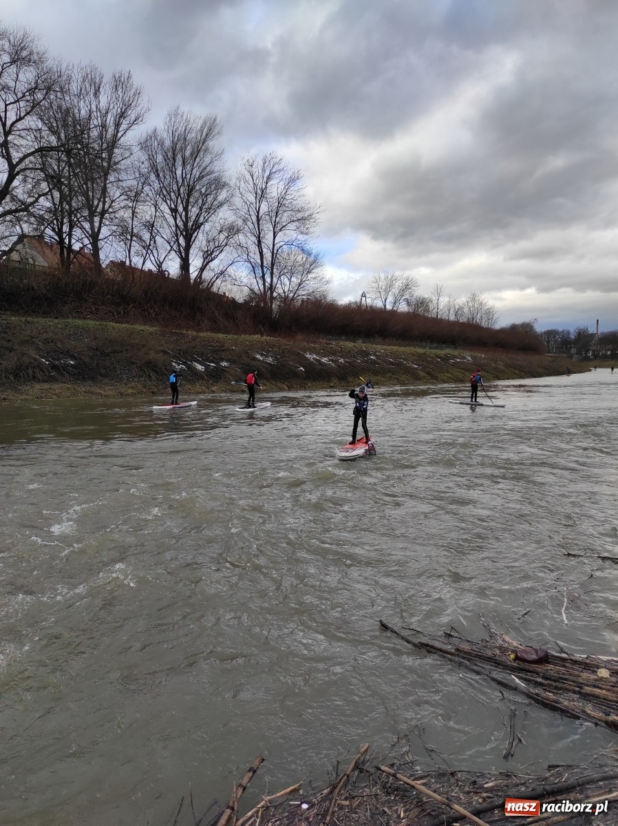 Zdjęcie w galerii na portalu naszraciborz.pl: Wioślarze z Raciborza ostro ćwiczą na Odrze wiadomości z regionu