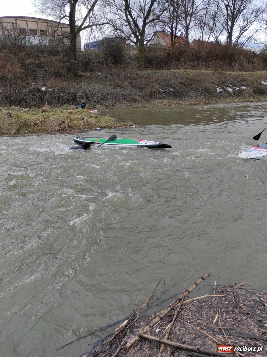 Zdjęcie w galerii na portalu naszraciborz.pl: Wioślarze z Raciborza ostro ćwiczą na Odrze wiadomości z regionu