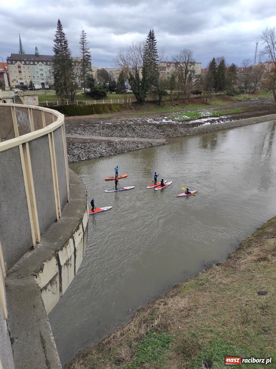 Zdjęcie w galerii na portalu naszraciborz.pl: Wioślarze z Raciborza ostro ćwiczą na Odrze wiadomości z regionu