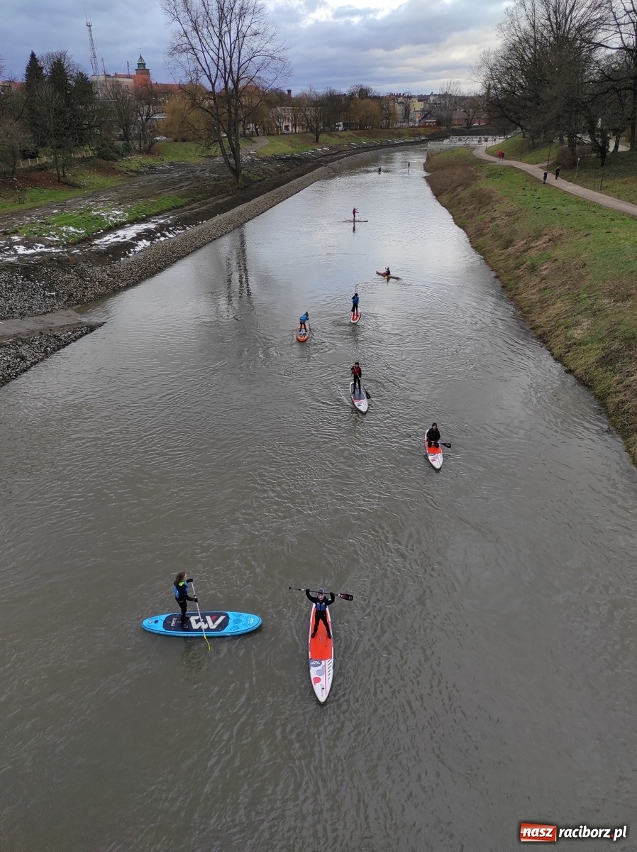 Zdjęcie w galerii na portalu naszraciborz.pl: Wioślarze z Raciborza ostro ćwiczą na Odrze wiadomości z regionu